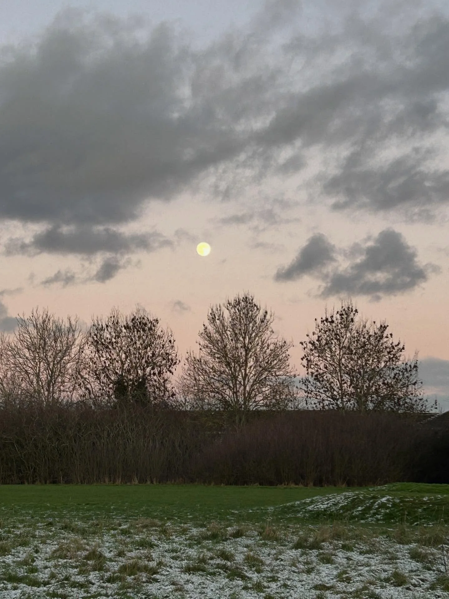 🤍Happy traditional New Year.🤍

Not the &lsquo;New year, New me&rsquo; that rushes you forward
or demands instant reinvention.

This is still deep winter.❄️
Nothing in nature is pushing right now.

Roots are strengthening.
Energy is being conserved.