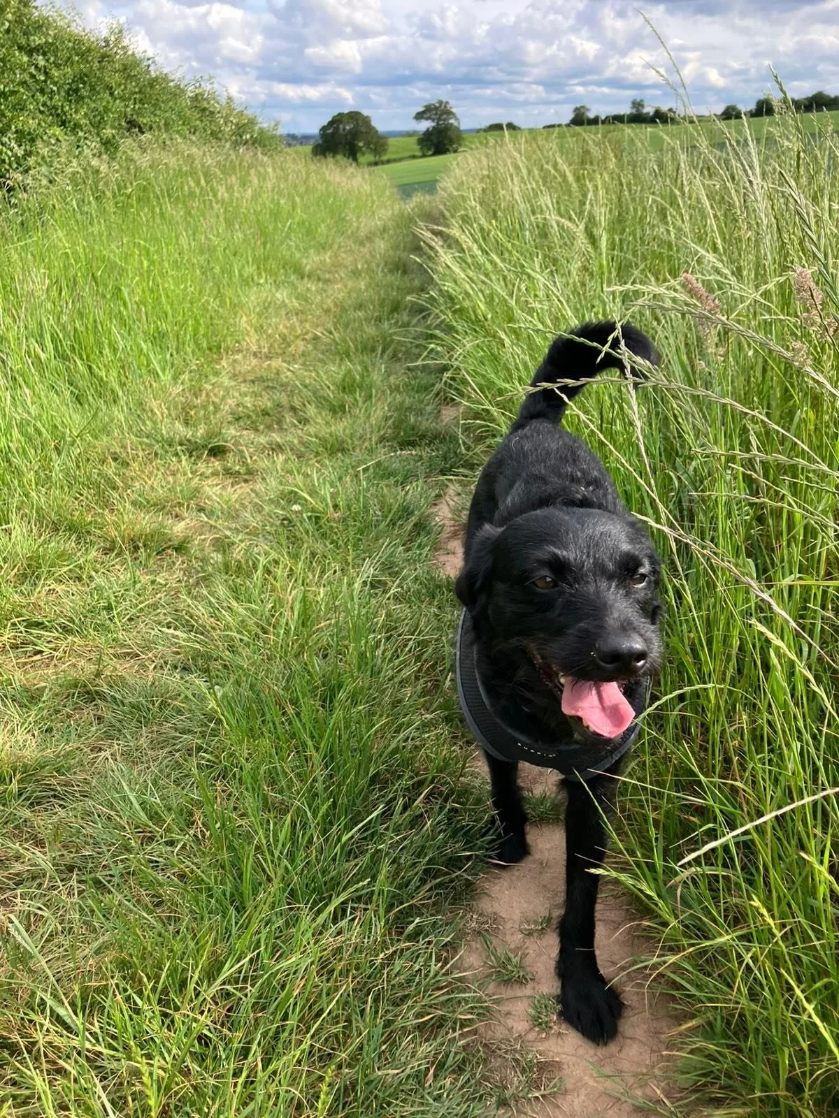 🗣️January me:

&ldquo;Slow down. Hibernate. Stop pushing. Rest your nervous system.&rdquo;

Also January me:🤯
Did not take her own advice.🤦🏼&zwj;♀️

This week Arthur hurt his back.
He&rsquo;s now on strict bed rest - minimal walks, no jumping, no