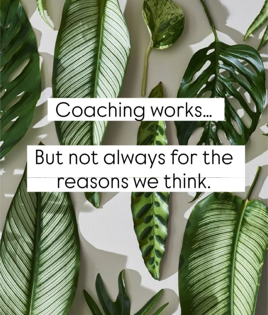 You can create powerful awareness🧠

But you can understand your patters and still find yourself repeating them 🌿

That&rsquo;s not weakness it&rsquo;s nervous system wiring 🤍