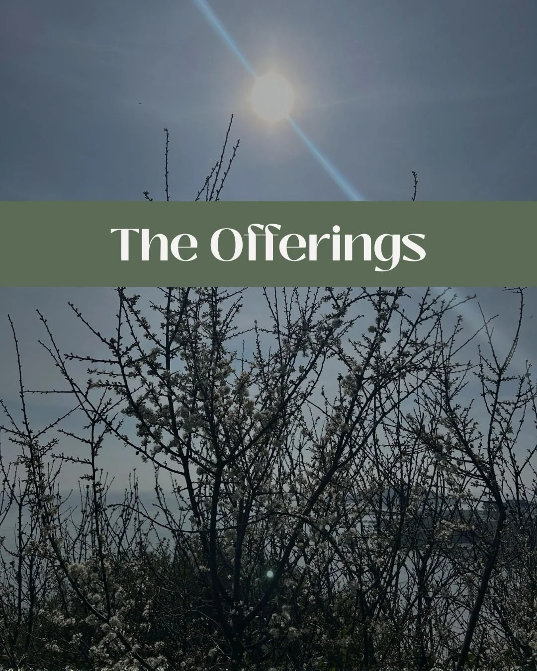 Not everything you need is another strategy.
Sometimes&hellip; it&rsquo;s space to slow down.

At Dawn Studios, I offer a range of sessions designed to help you come out of overwhelm and back into a more grounded, steady way of being.

This work isn&