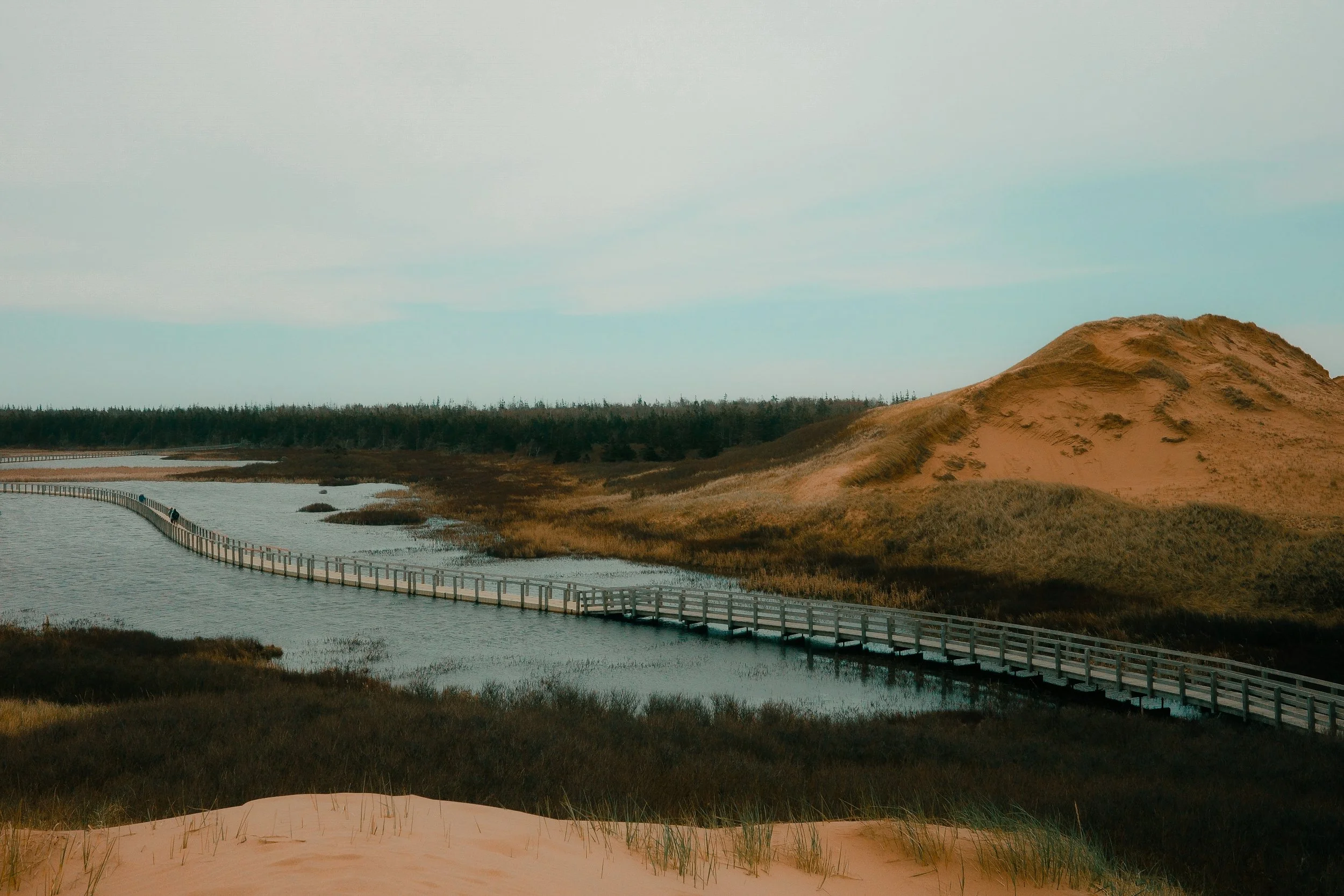 Chemin en bois s'étendant au-dessus d'une étendue d'eau et entouré de landes et dunes de sable, avec des collines ou dunes en arrière-plan.