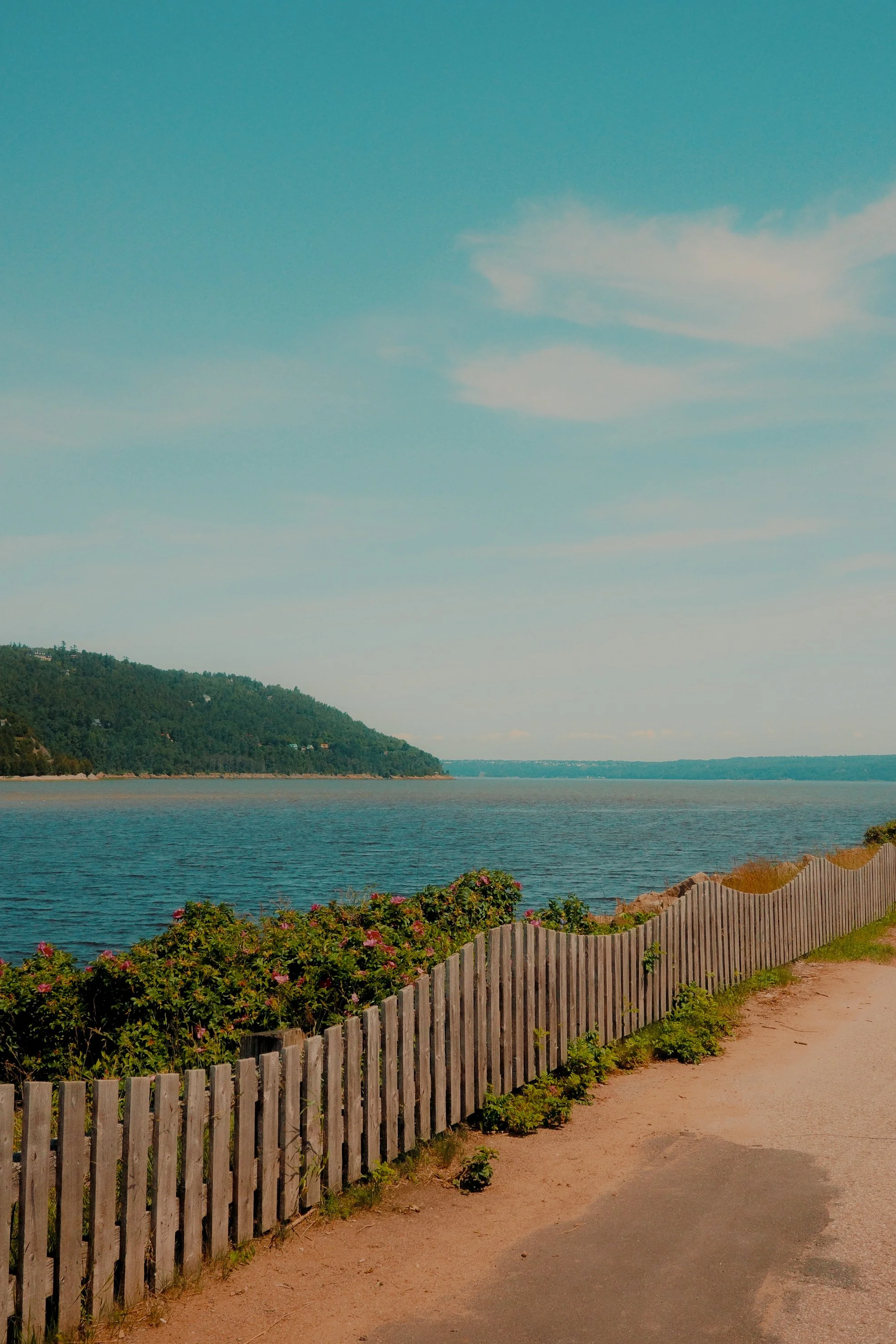 Une scène côtière avec une clôture en bois le long d'un chemin, des buissons fleuris, une étendue d'eau avec une colline verte en arrière-plan, et un ciel clair avec quelques nuages.