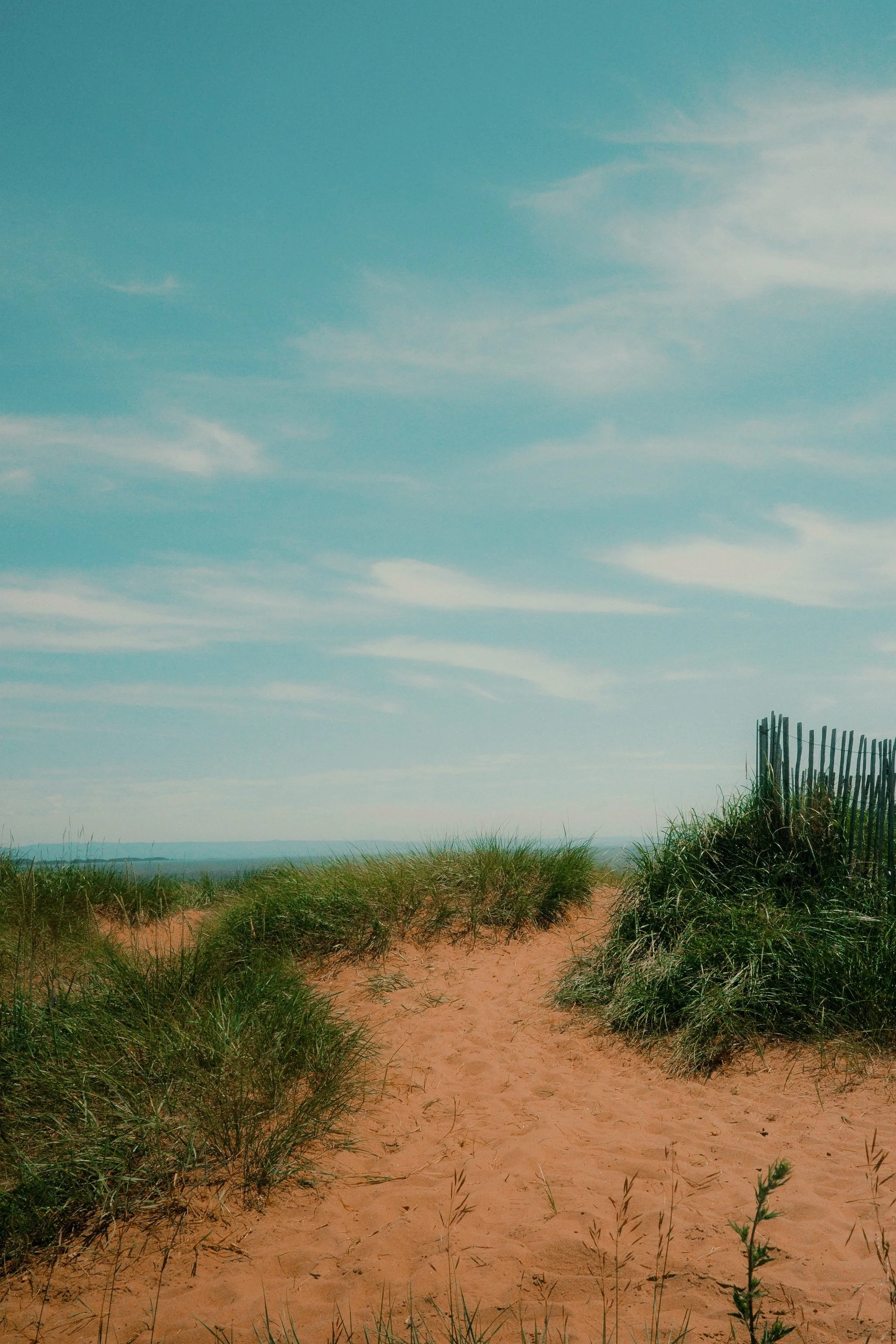 Sentier de sable entouré de hautes herbes et d'une clôture en bois, avec un ciel bleu et clair au-dessus.