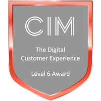 The Chartered Institute of Marketing The Digital Customer Experience Level 6 Award