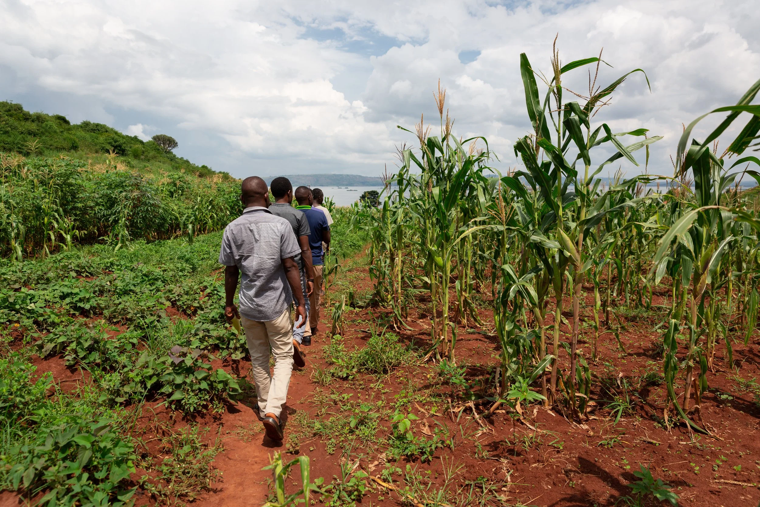 Another Harvest From the Agape Charity Garden