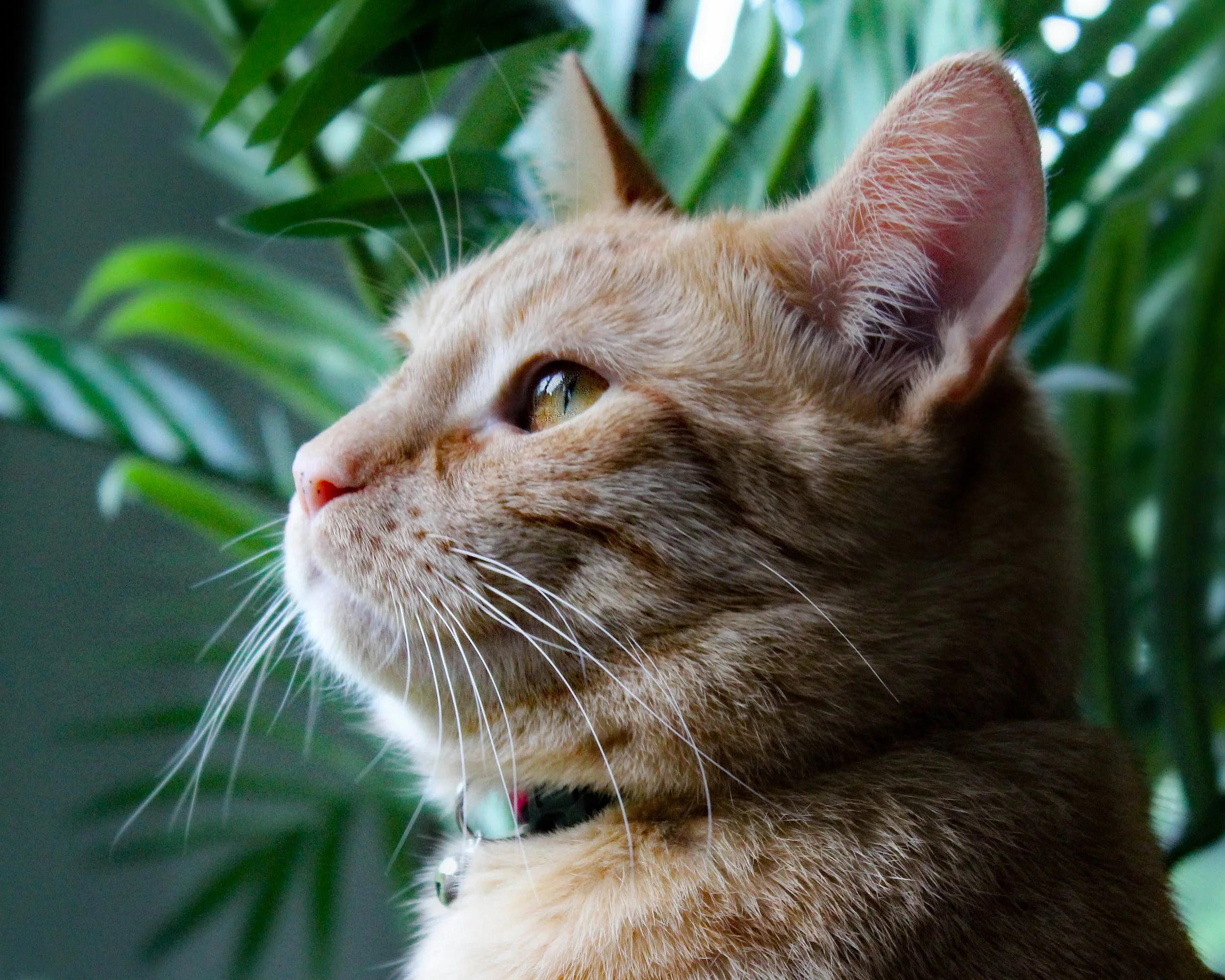 When I take historical photos, their histories and mine are now one in the same.