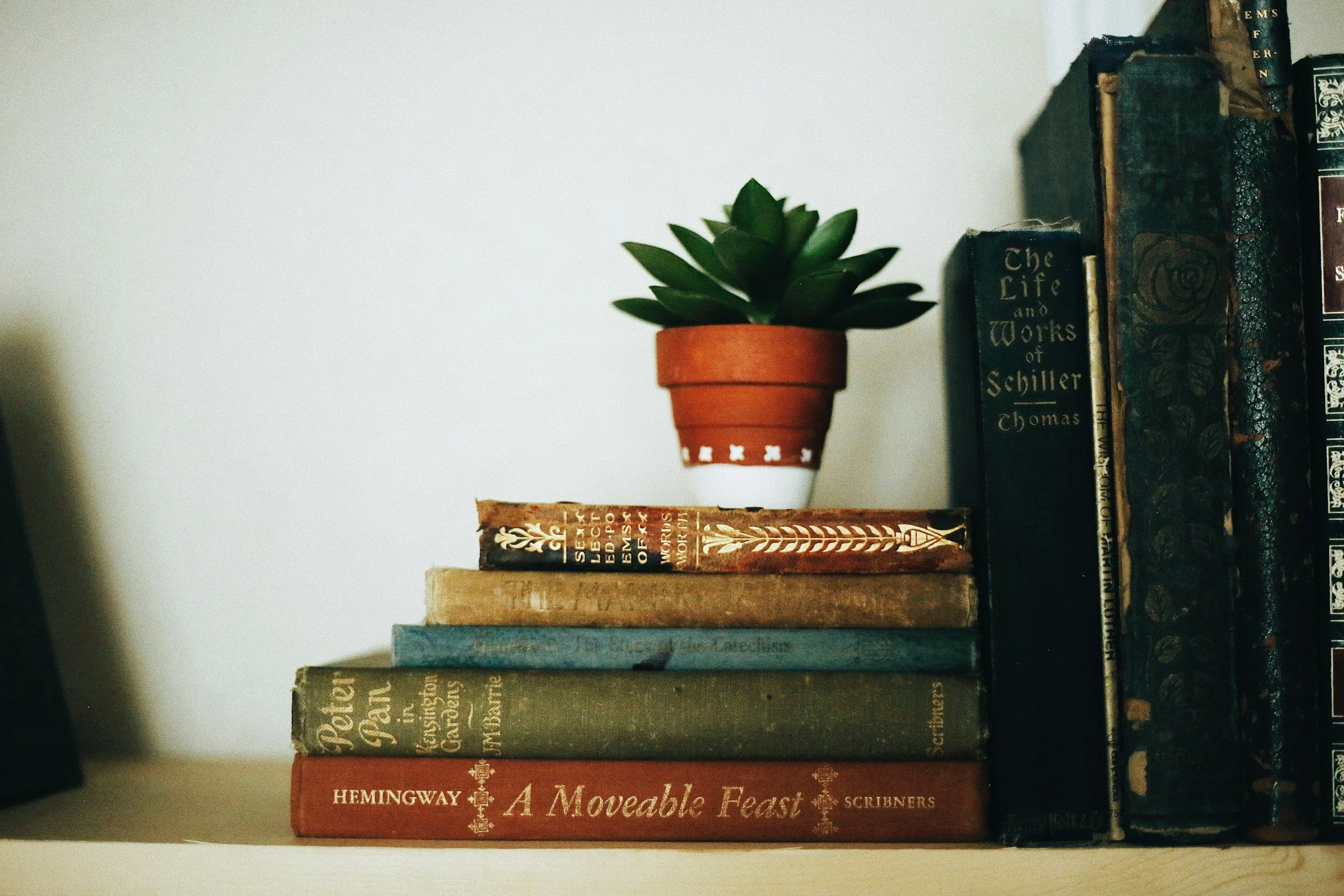 Stack of seven vintage books on a shelf, with a small potted succulent plant on top, against a plain white wall.