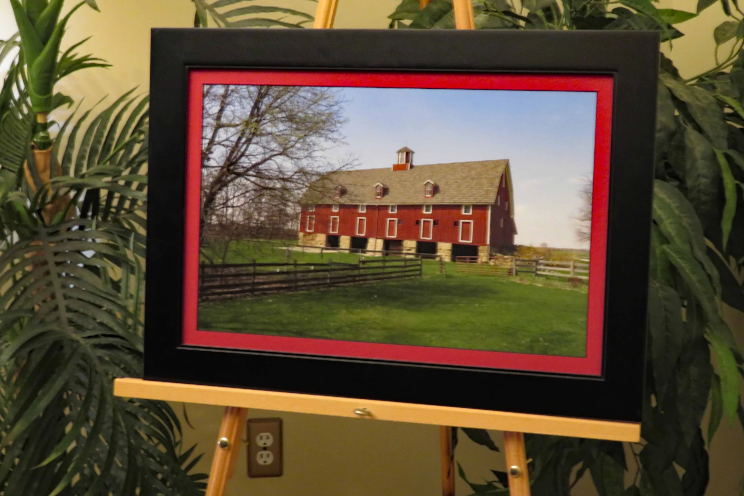 IMG_2148 clean up.jpg