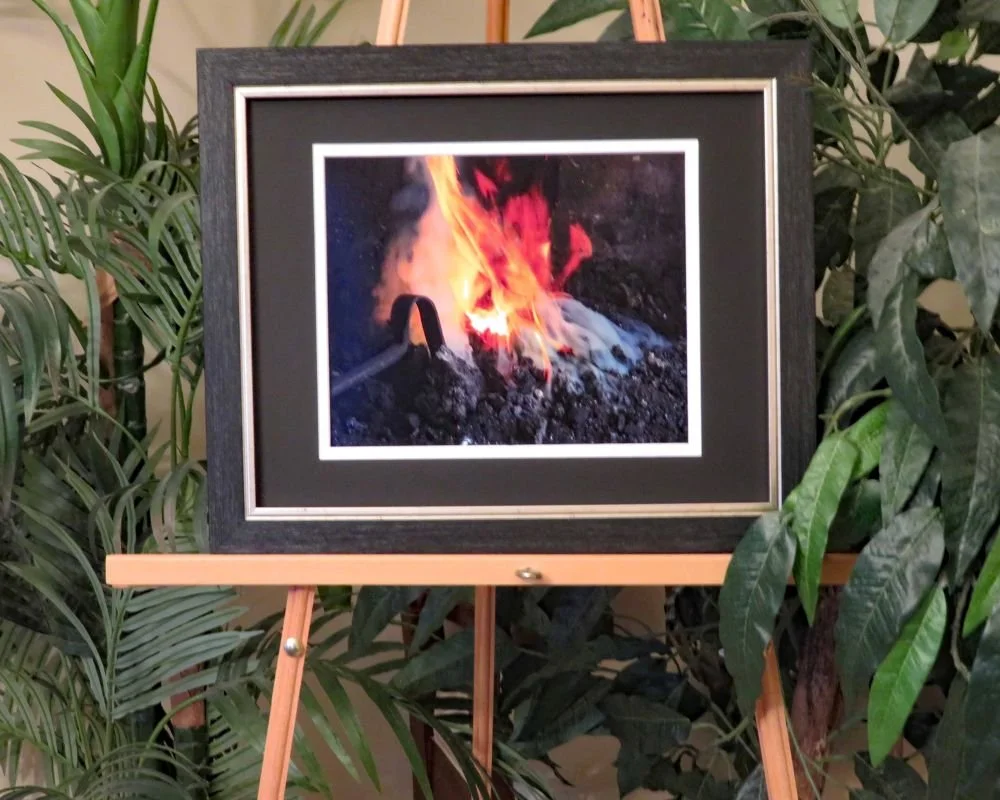 IMG_5501cfor web.jpg