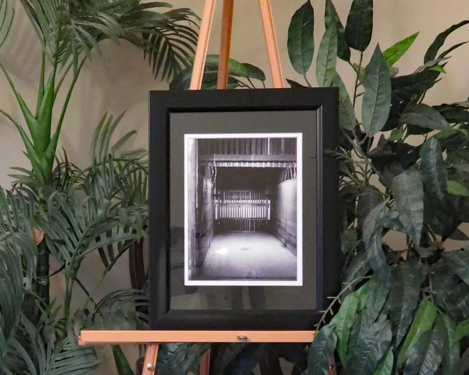 IMG_5532  for webc.jpg