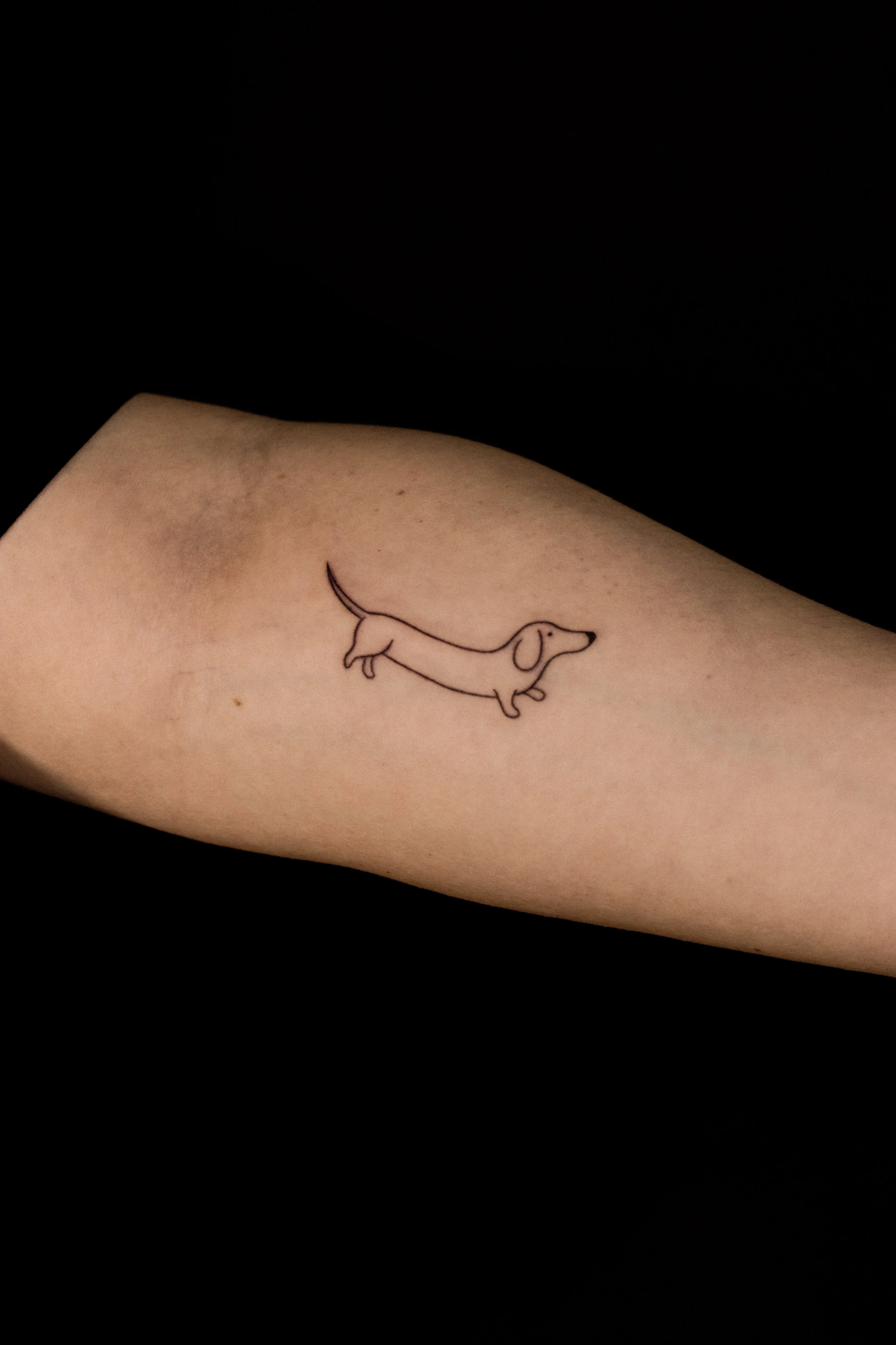 Tattoo van een speelse teckel op de onderarm van een persoon.