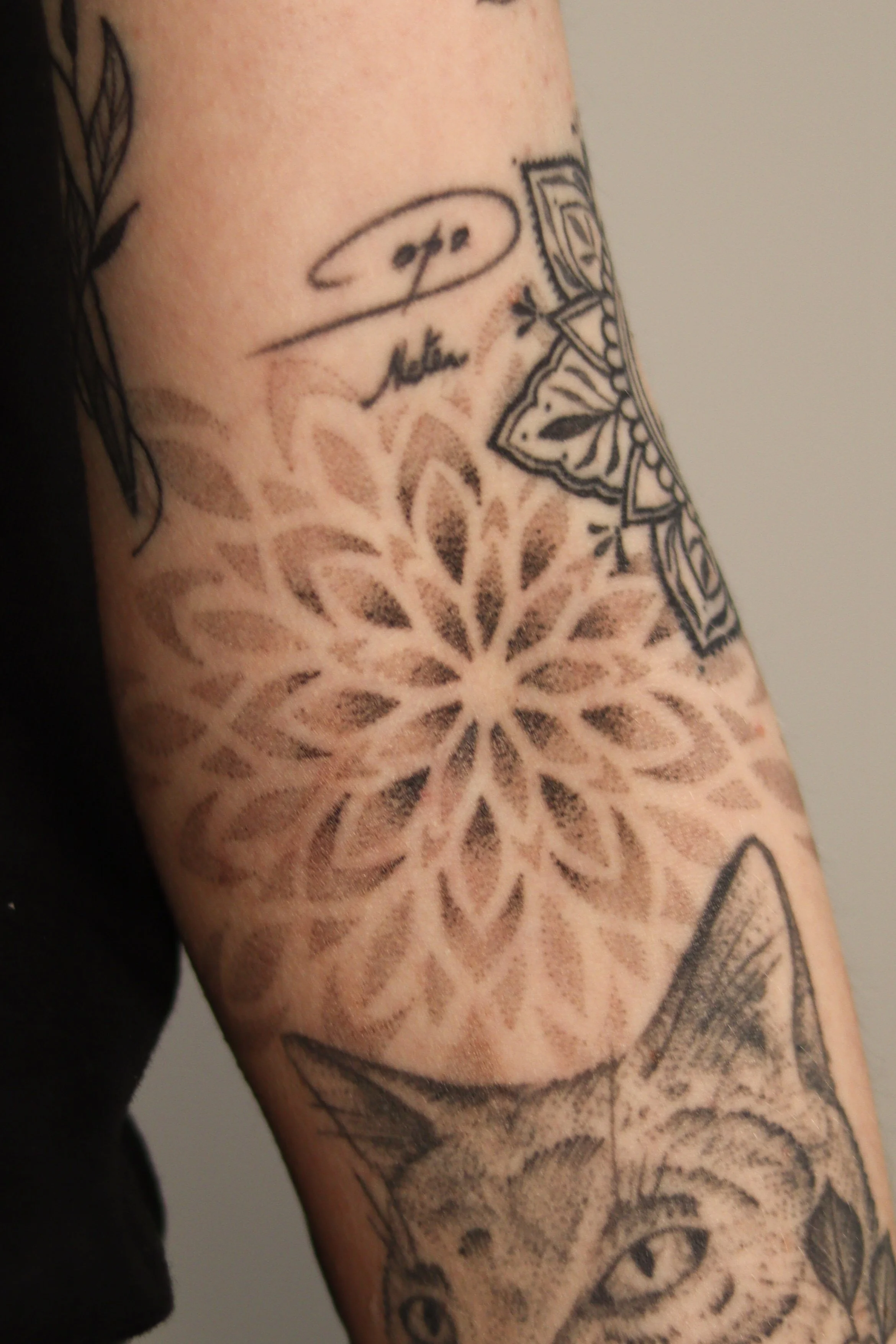 Tattoo met een bloemmotief, een kat en tekst op de arm.
