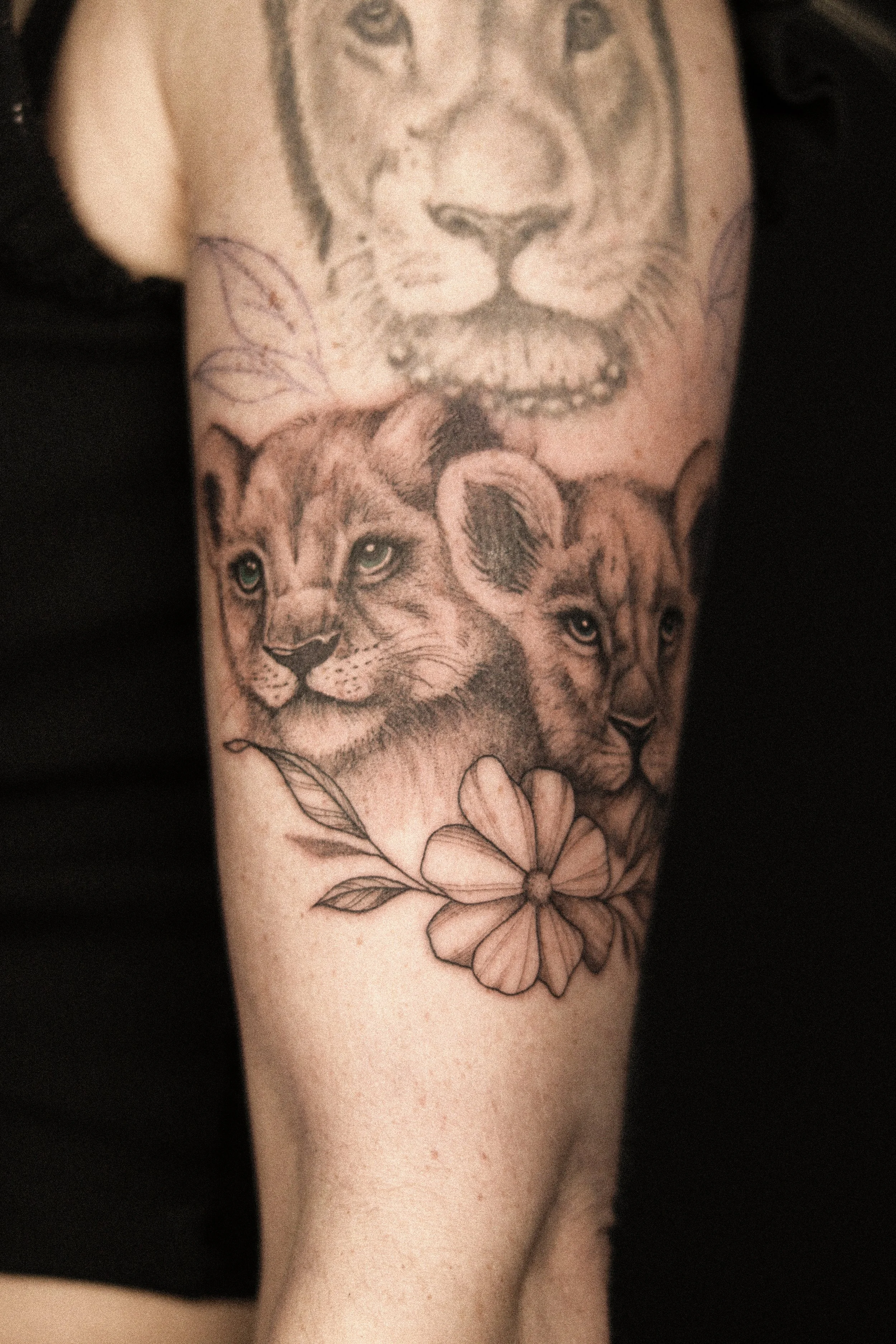 Tatoeage van een leeuwenkop, drie jonge leeuwen en bloemen op de onderarm.