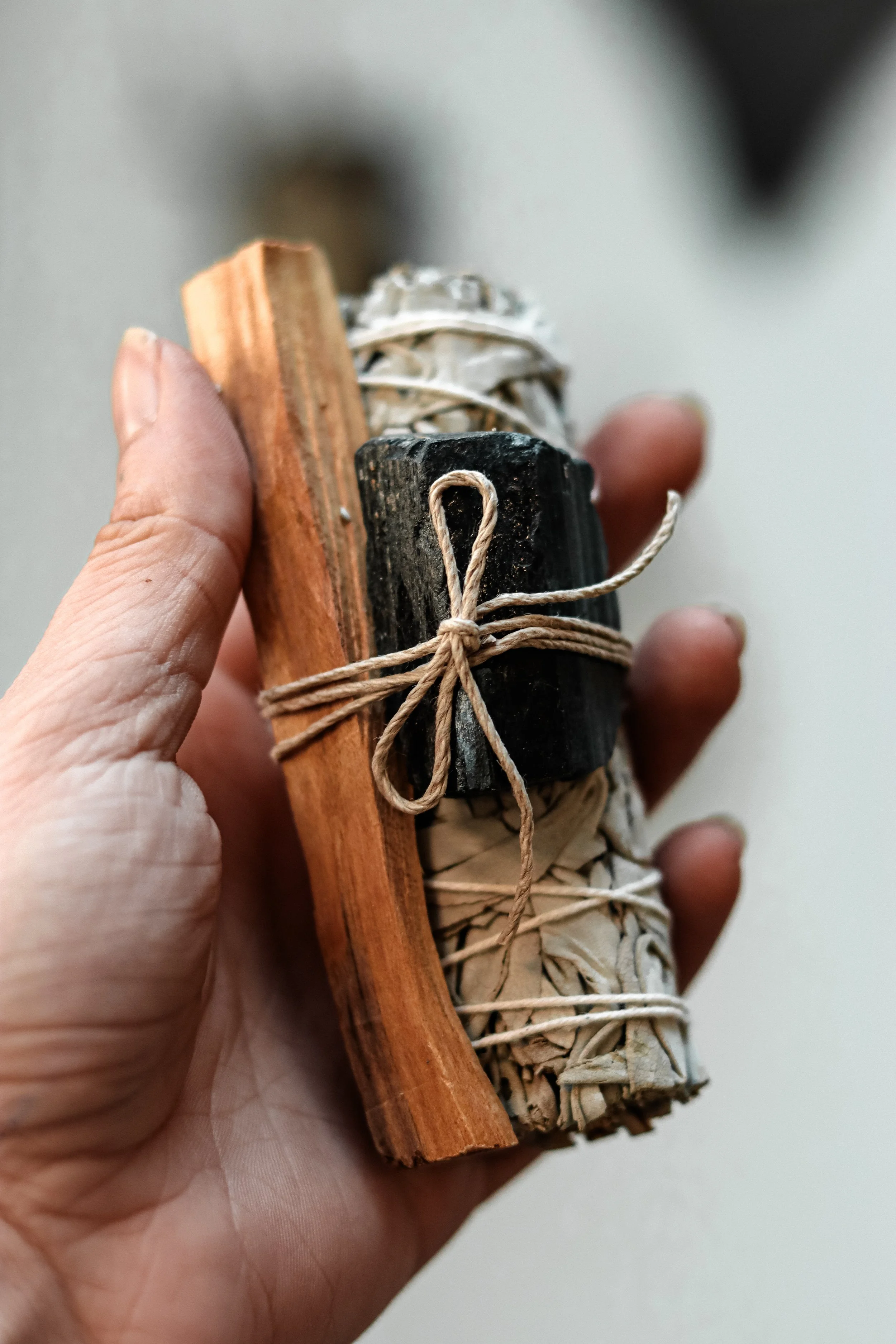Hand houdt drie smalle, gedroogde wieten bundels die met touwen vastzitten.