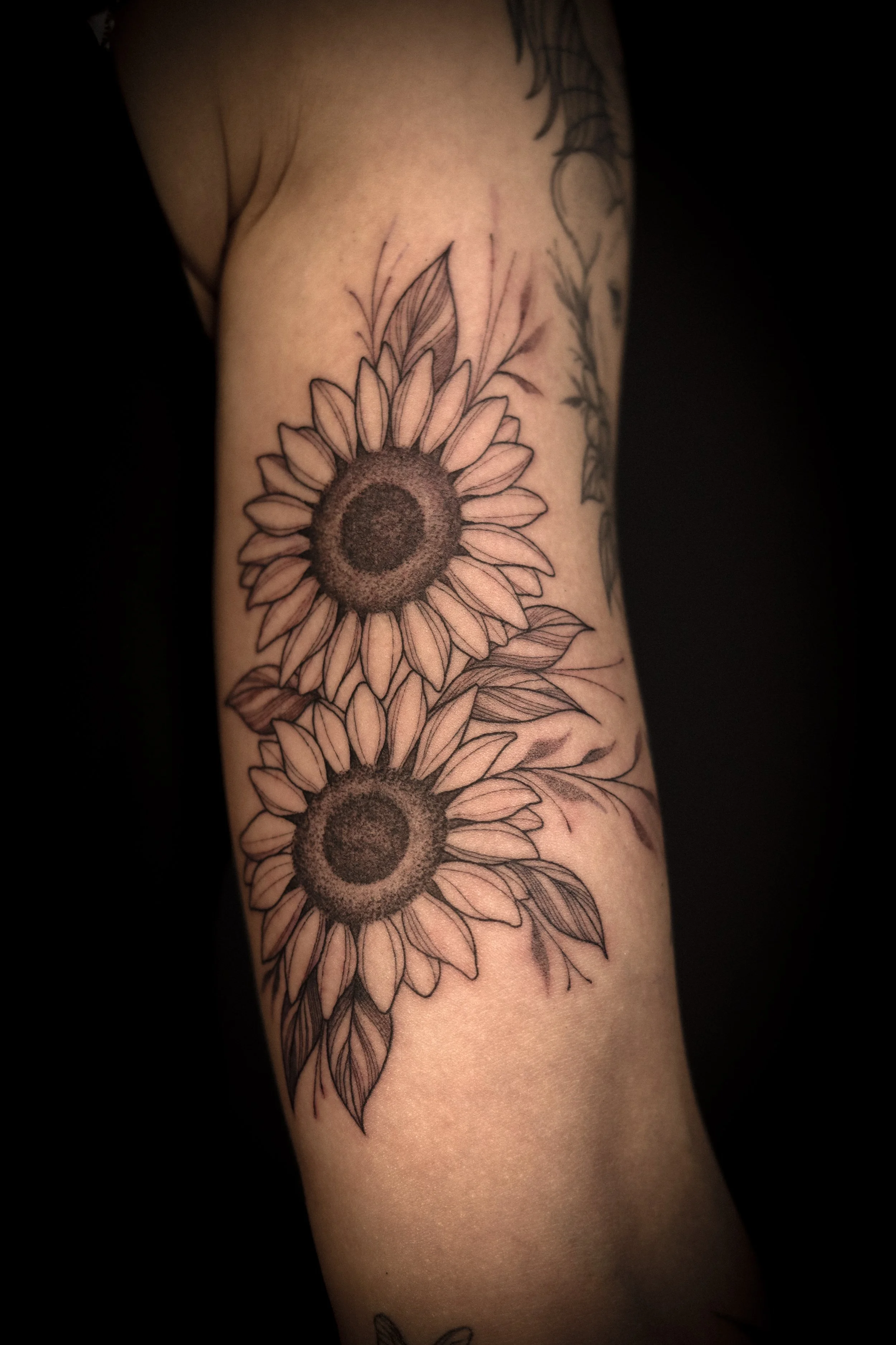 Tatoeage van twee zonnebloemen op een menselijke arm, gedetailleerd met bladeren en bloemhoofd.
