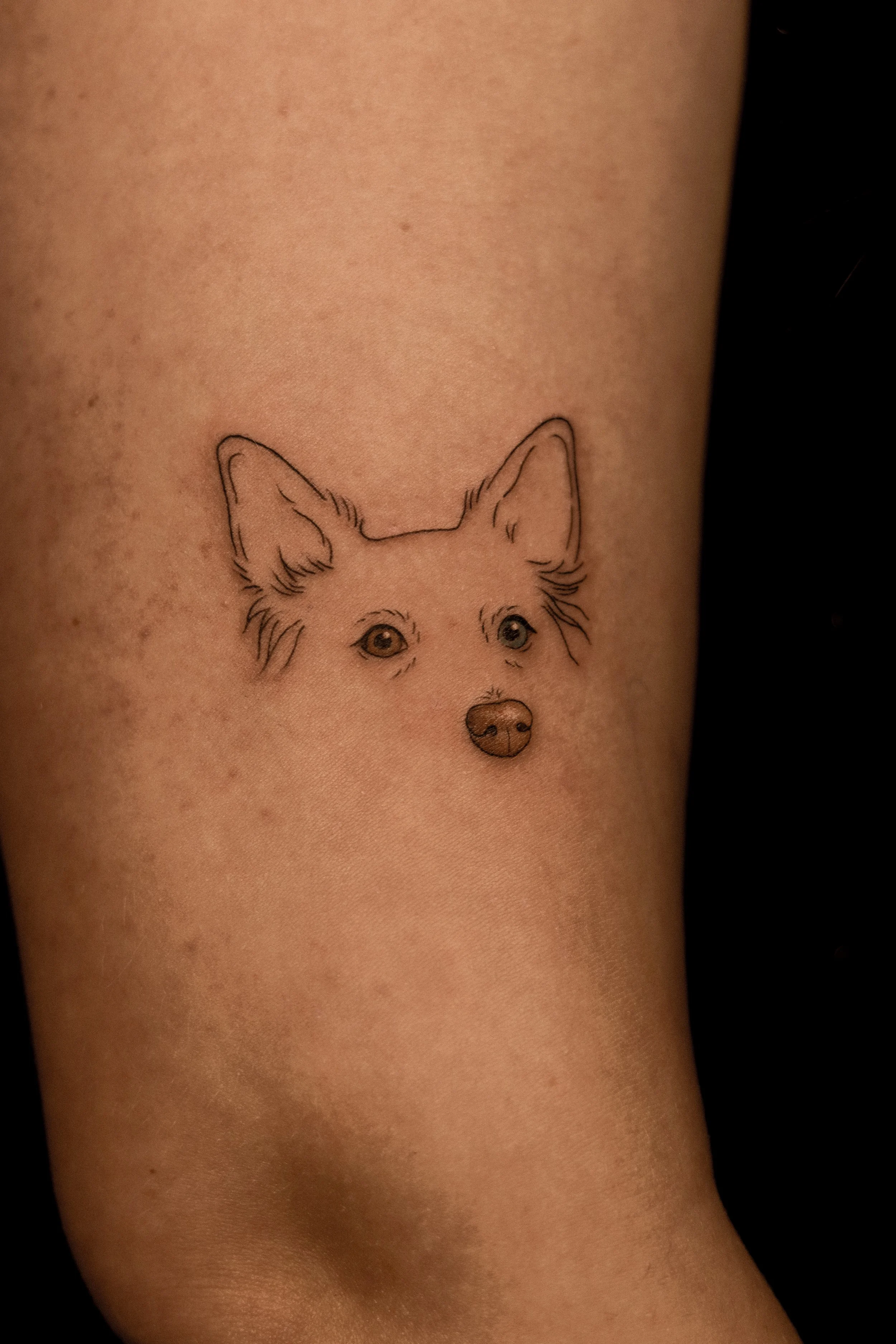 Tatoeage van een hondenhoofd op de huid, met gedetailleerde oren, ogen en neus.