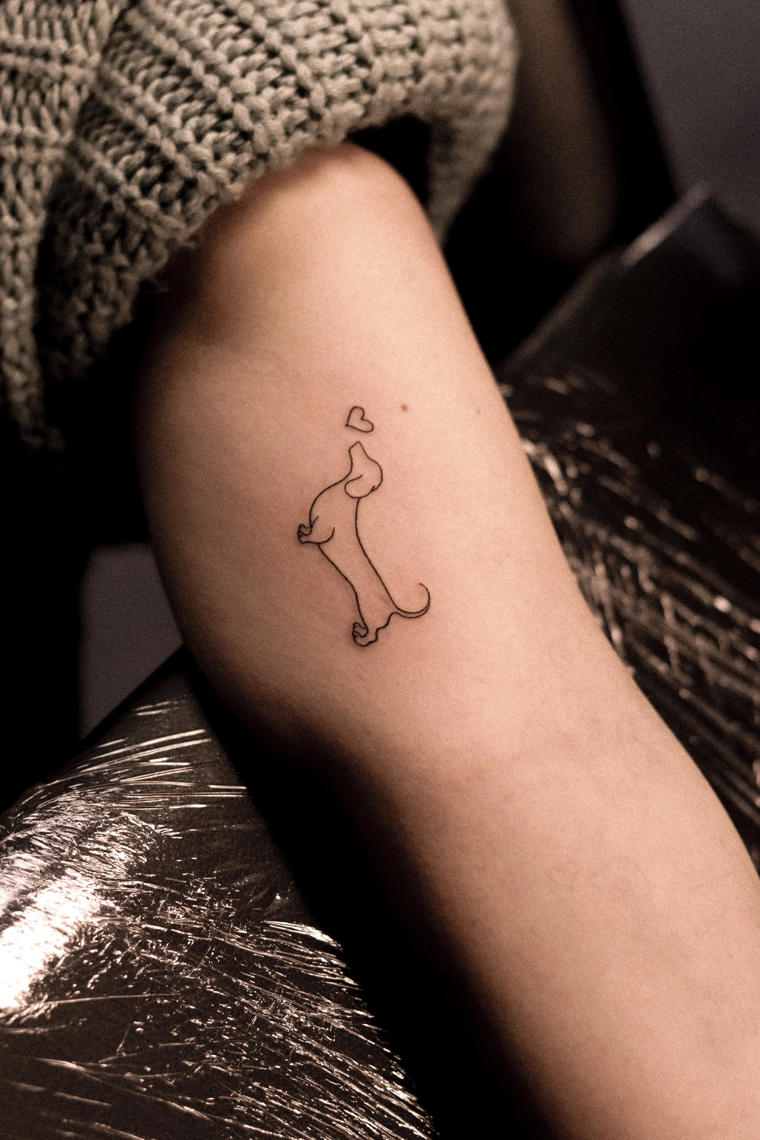 Tatoeage van een eenvoudig lijntekening van een hond met een hart boven zijn hoofd op het bovenbeen. Op de achtergrond glanzend oppervlak en een gebreide stof.