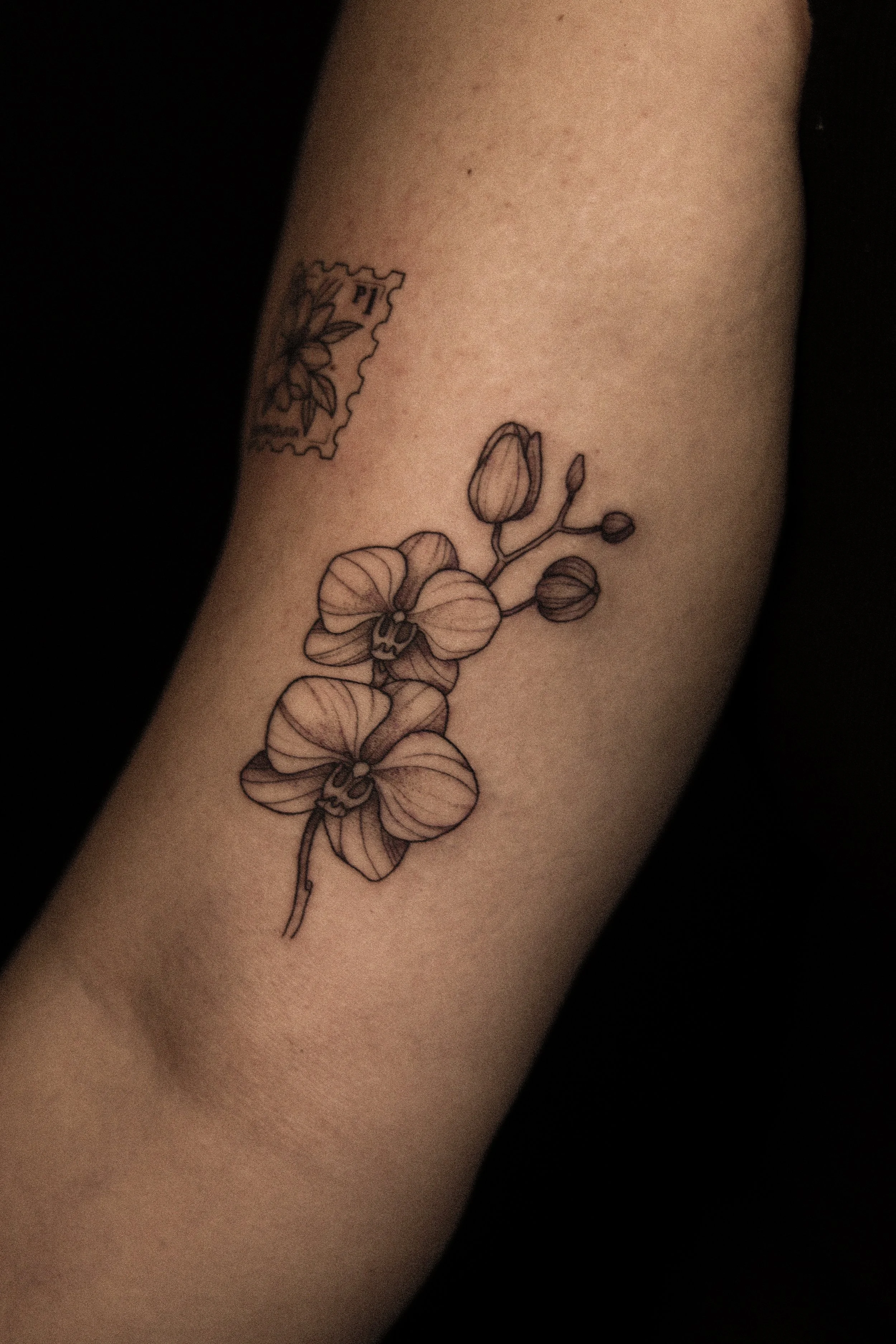 Tatoeage van een Orchidee op de binnenarm.