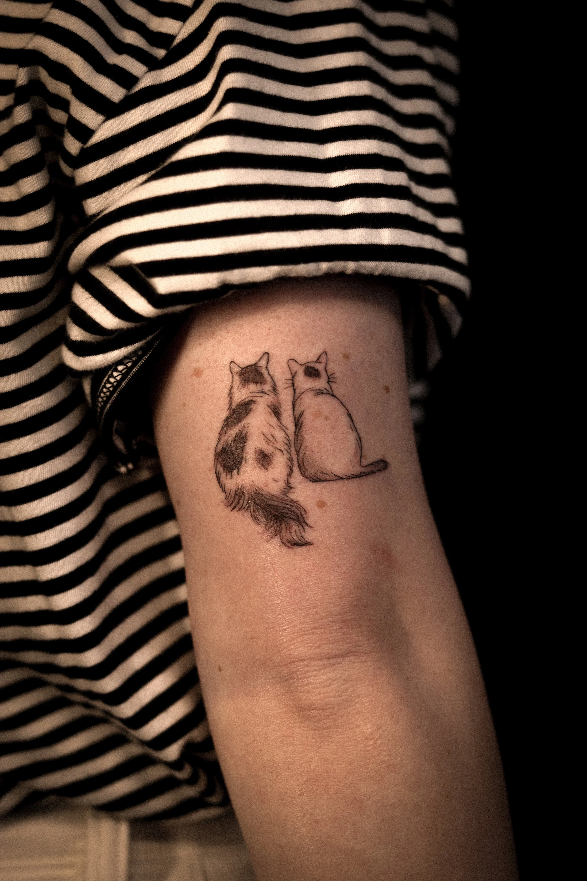 Tatoeage van twee katten gezien vanaf achteren, op de bovenarm van een persoon die een zwart-wit gestreept shirt draagt.