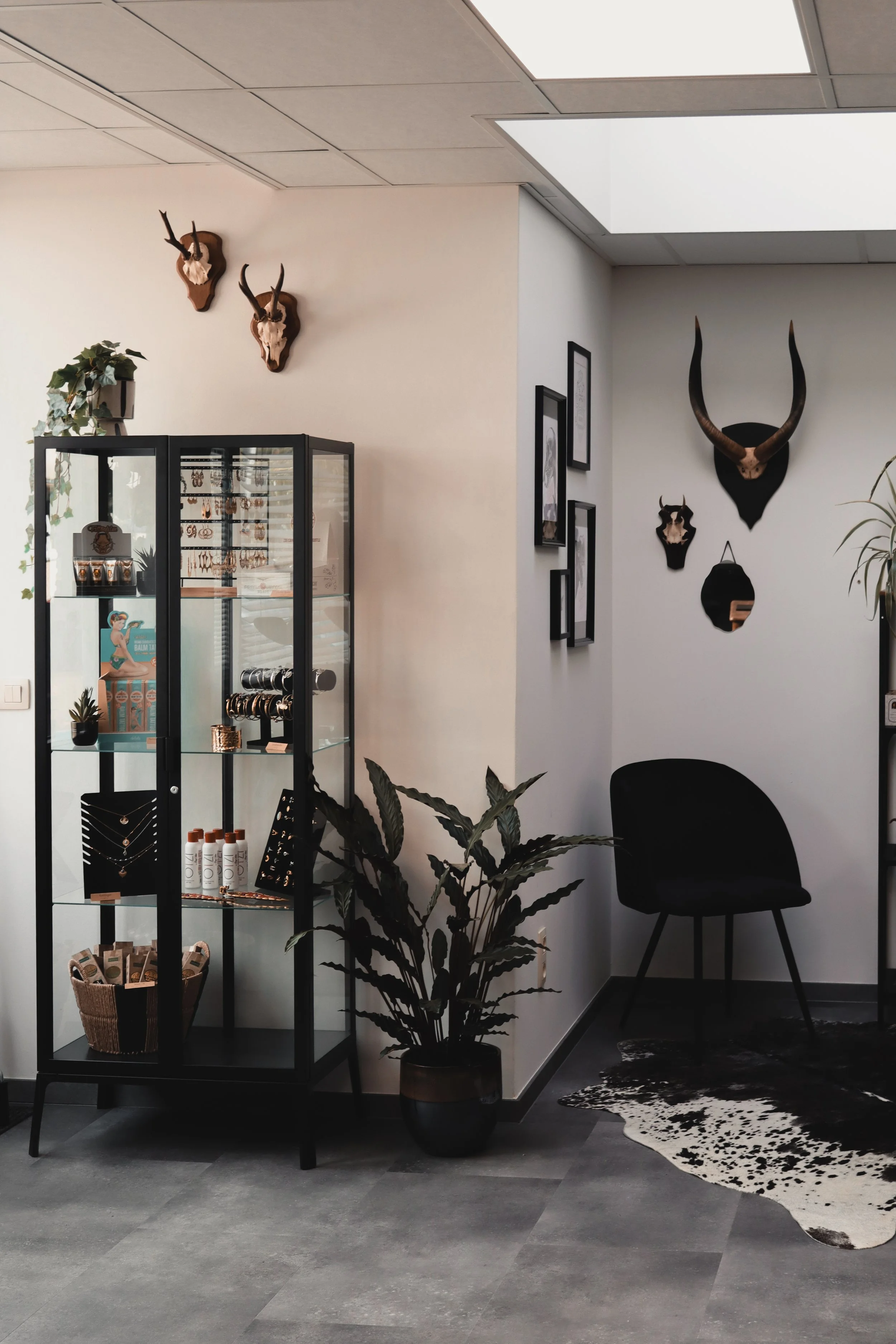 Interieur van een modern winkelpand met een zwarte glazen displaykast met sieraden en verzorgingsproducten, grote planten, zwart wanddecoraties met dierenhoofden, een zwarte stoel en een zwart-wit koeienhuid