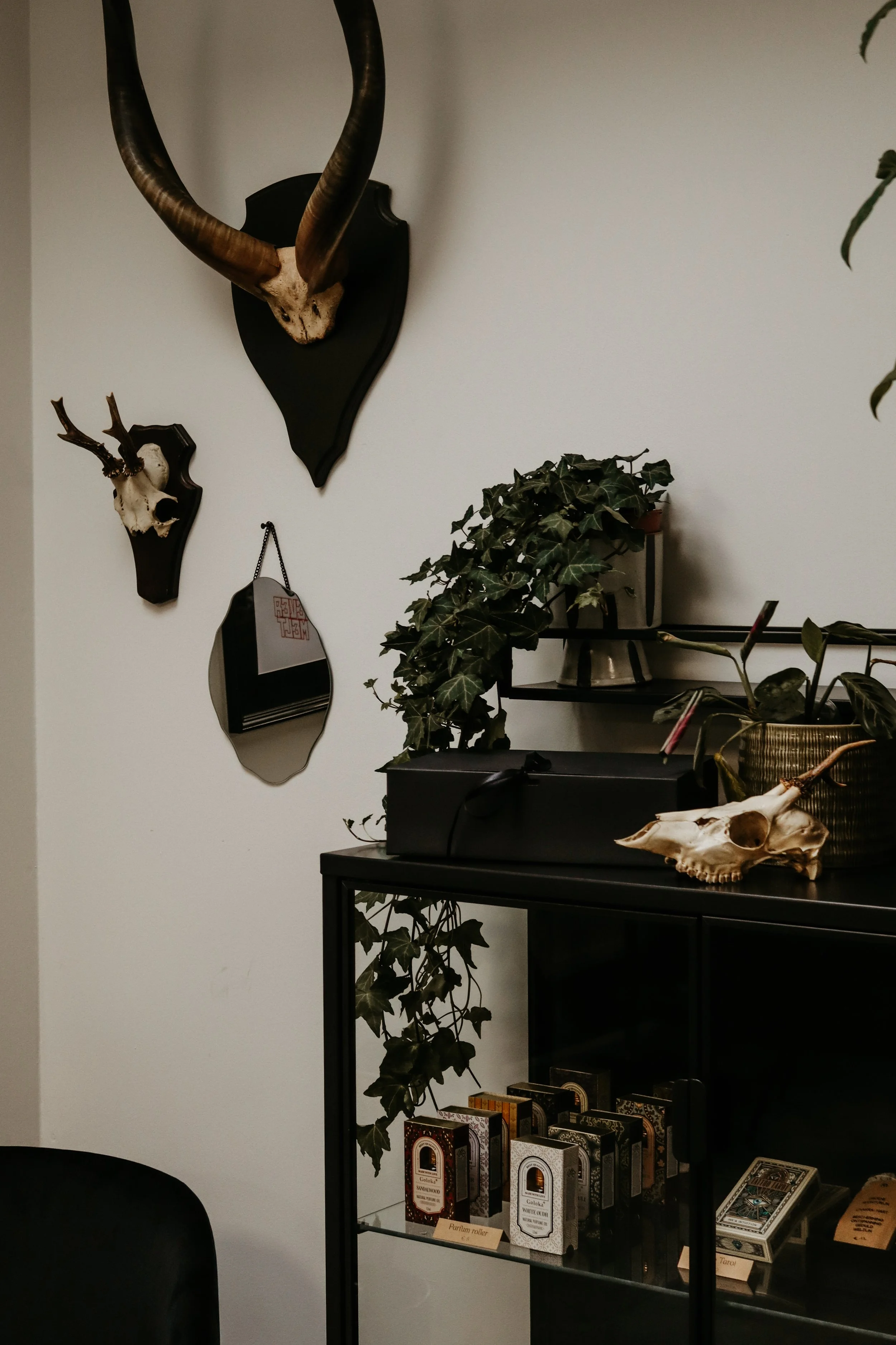 Een binnenruimte met wanddecoraties van hertenkoppen en een spiegel, een zwart meubel met planten, een doosje en decoraties. 