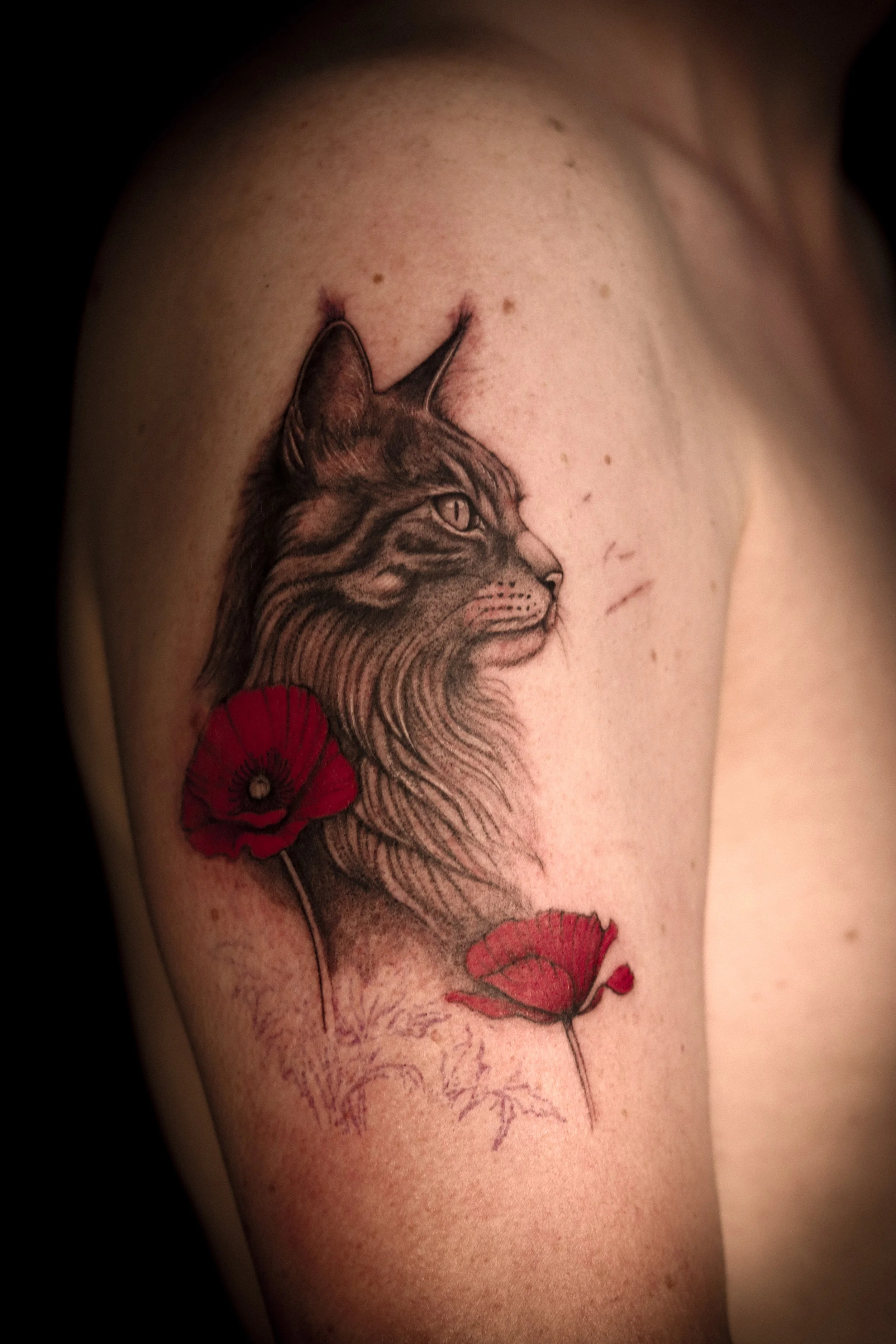 Tatoeage van een kat met twee rode bloemen op de schouder.
