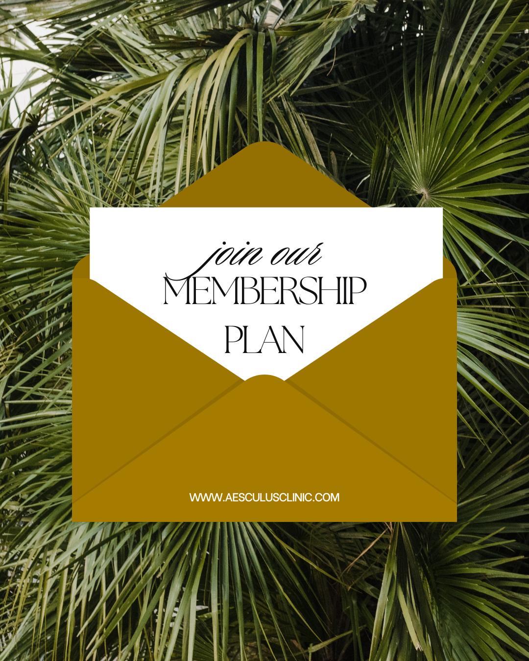 Membership plans at Aesculus Clinic