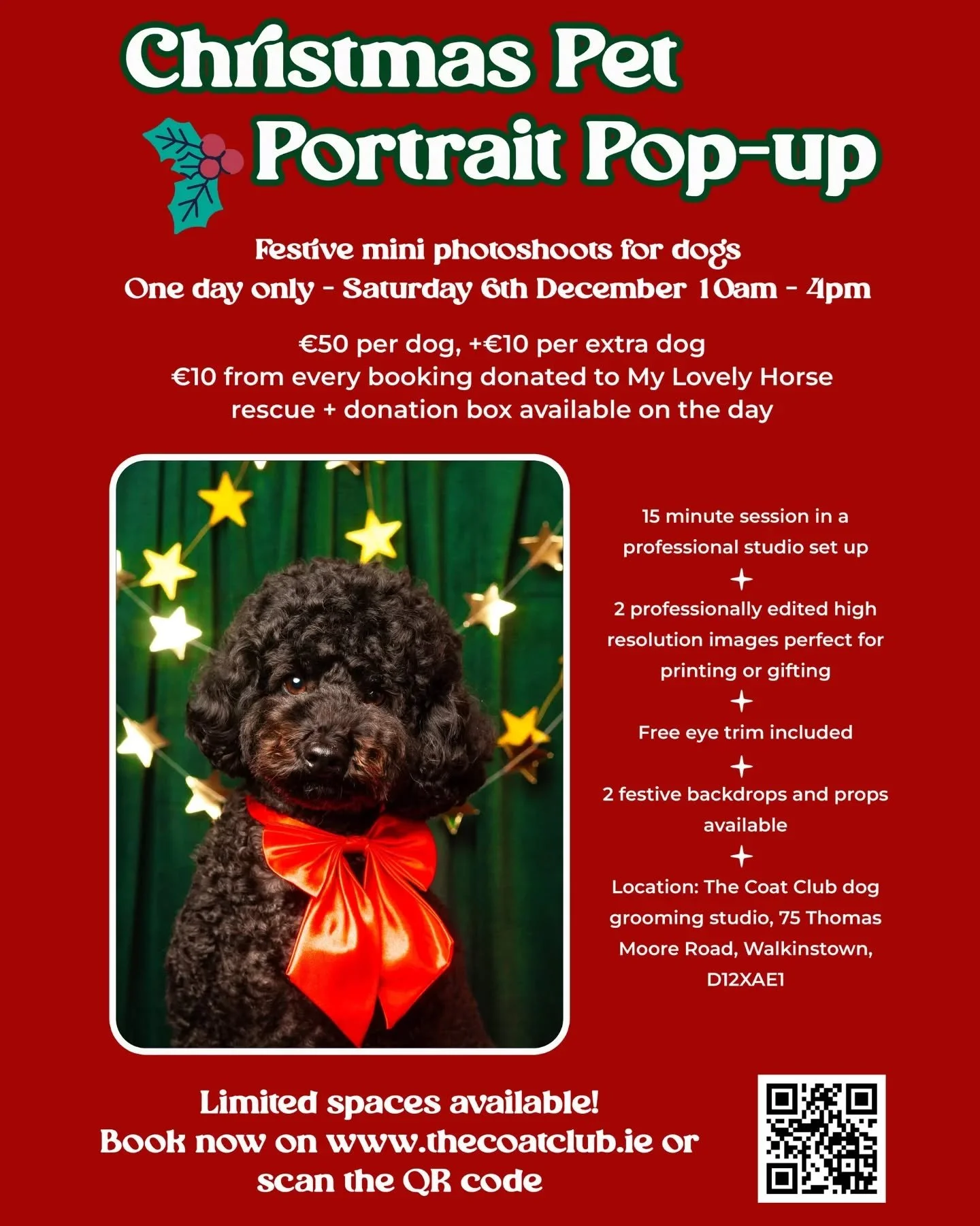 ✨ Christmas Pet Portrait Pop-Up &mdash; Saturday 6th December ✨

I&rsquo;m so excited to finally launch this!
A cosy festive photoshoot for your dog &mdash; taken by me (yes, your groomer is also a trained photographer 😄🎄).

Each session includes:
