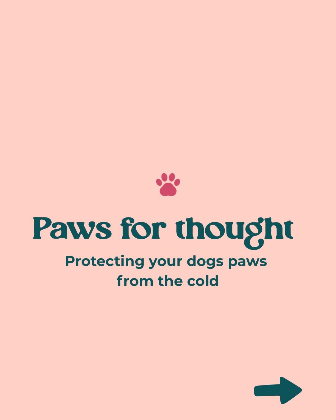 With the cold snap we&rsquo;re having all over Ireland at the moment, your dog&rsquo;s paws may need a little extra care and attention. 🐾

Frozen paths, road salt, and grit can dry out pads and cause cracking, which can be really uncomfortable. ❄️

