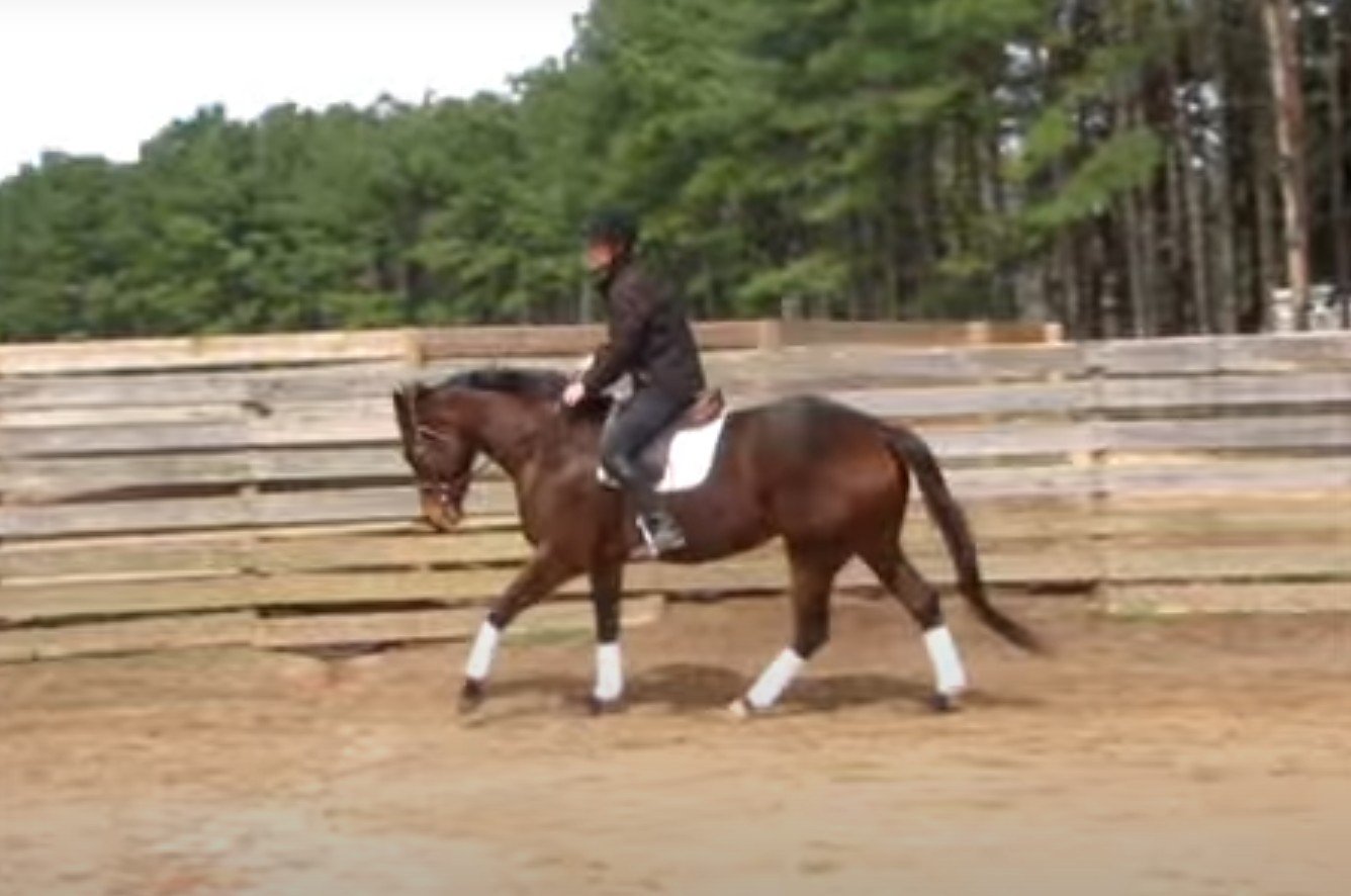 Screenshot 2025-08-17 122901.jpg