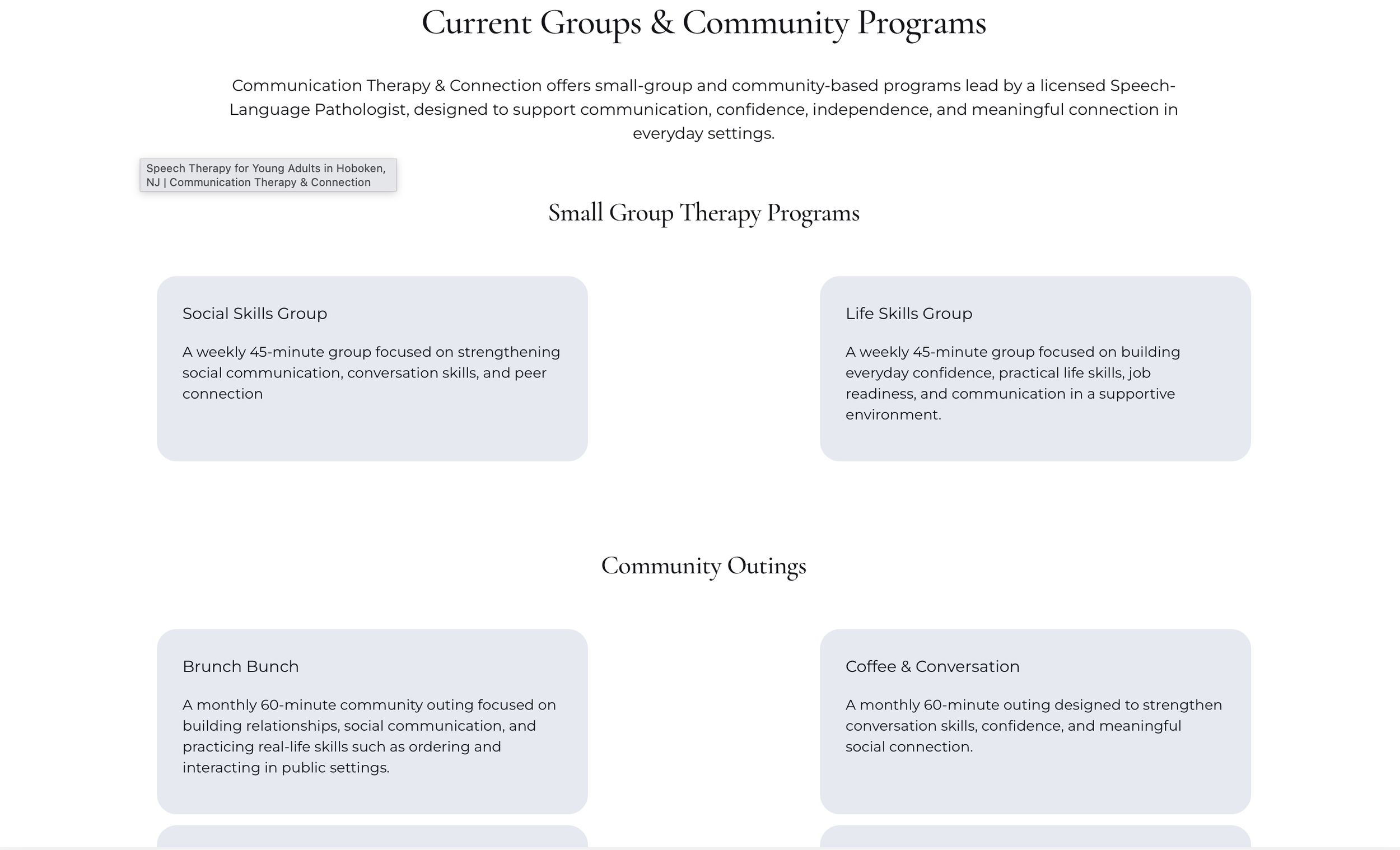 A section on a one page website designed by Studio Hill Media showcasing the different programs offered by a speech pathology practice, such as small group therapy programs and community outings.
