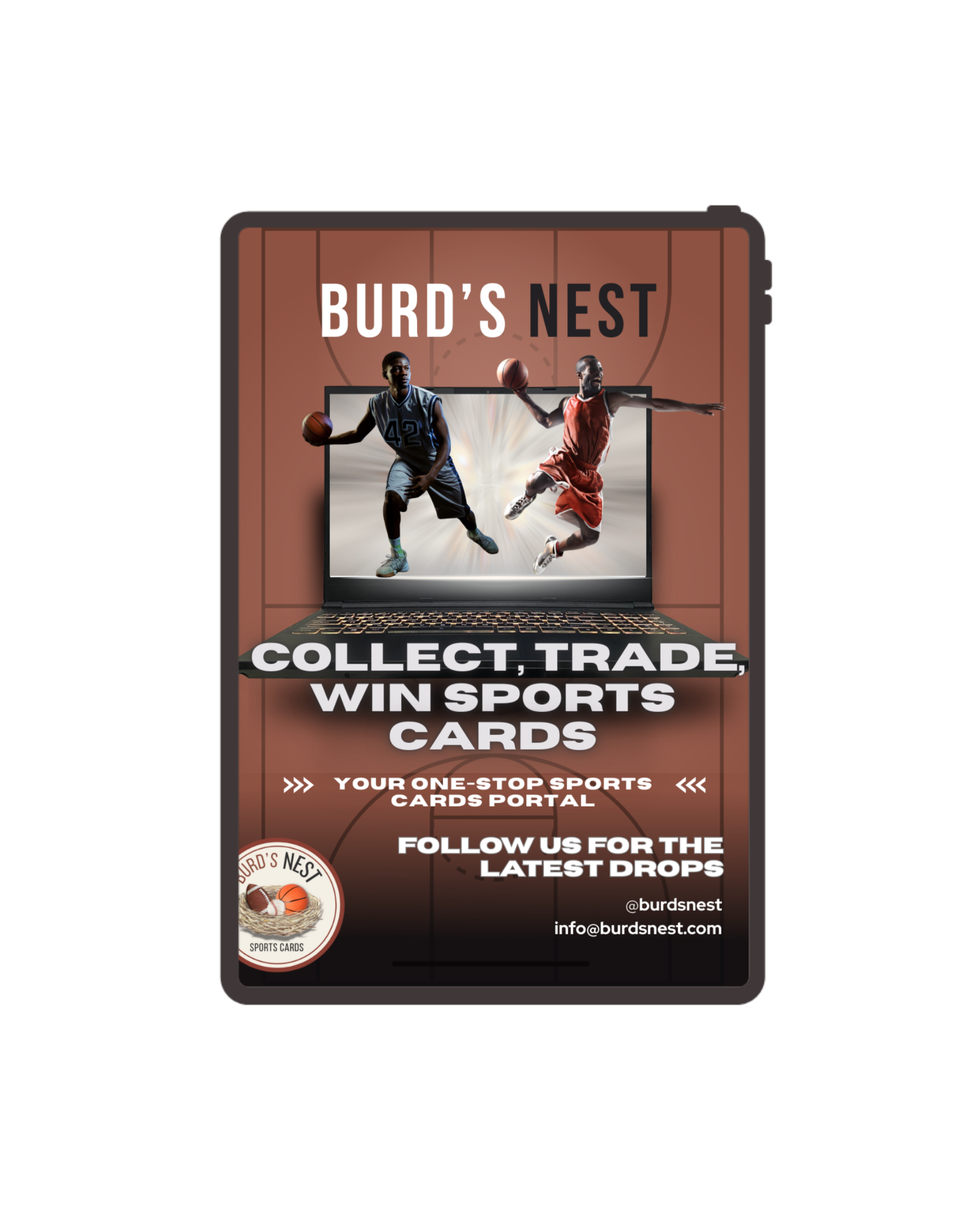 Burd's Nest promotional graphic to showcase the brand and the products they deliver.