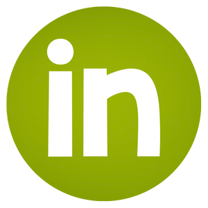 little puddins linkedin amanda mcguinness