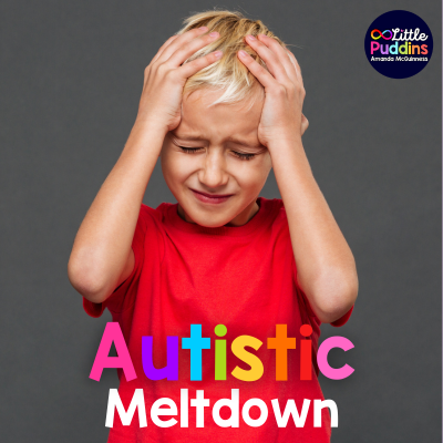 Autistic Meltdowns