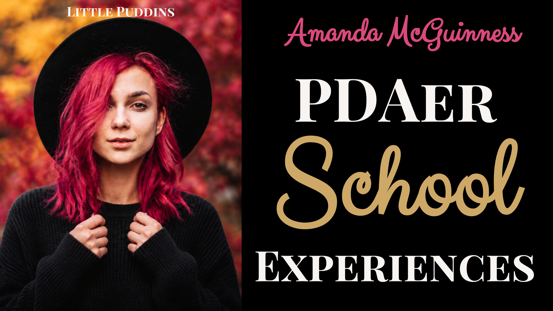 Autistic PDA Student Experiences