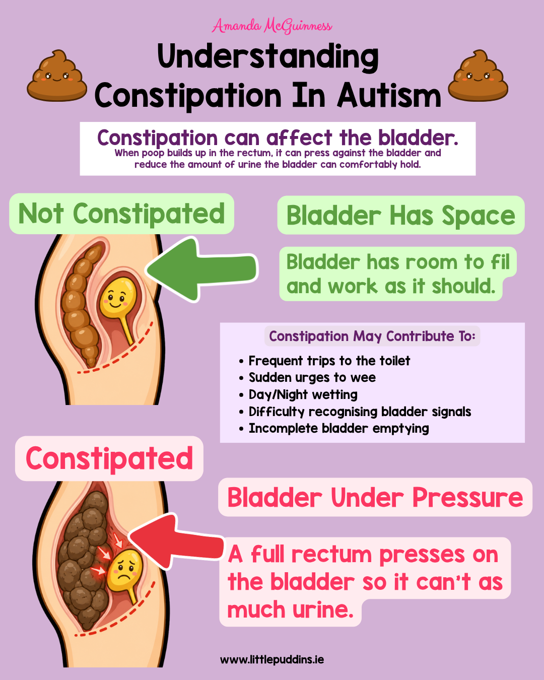 autism constipation little puddins toileting amanda mcguinness.png