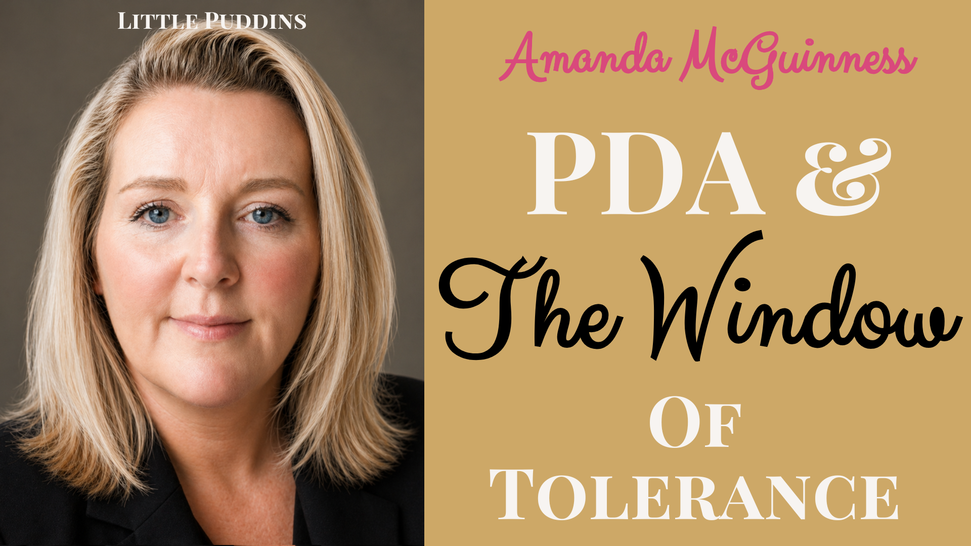 pda the window of tolerance
