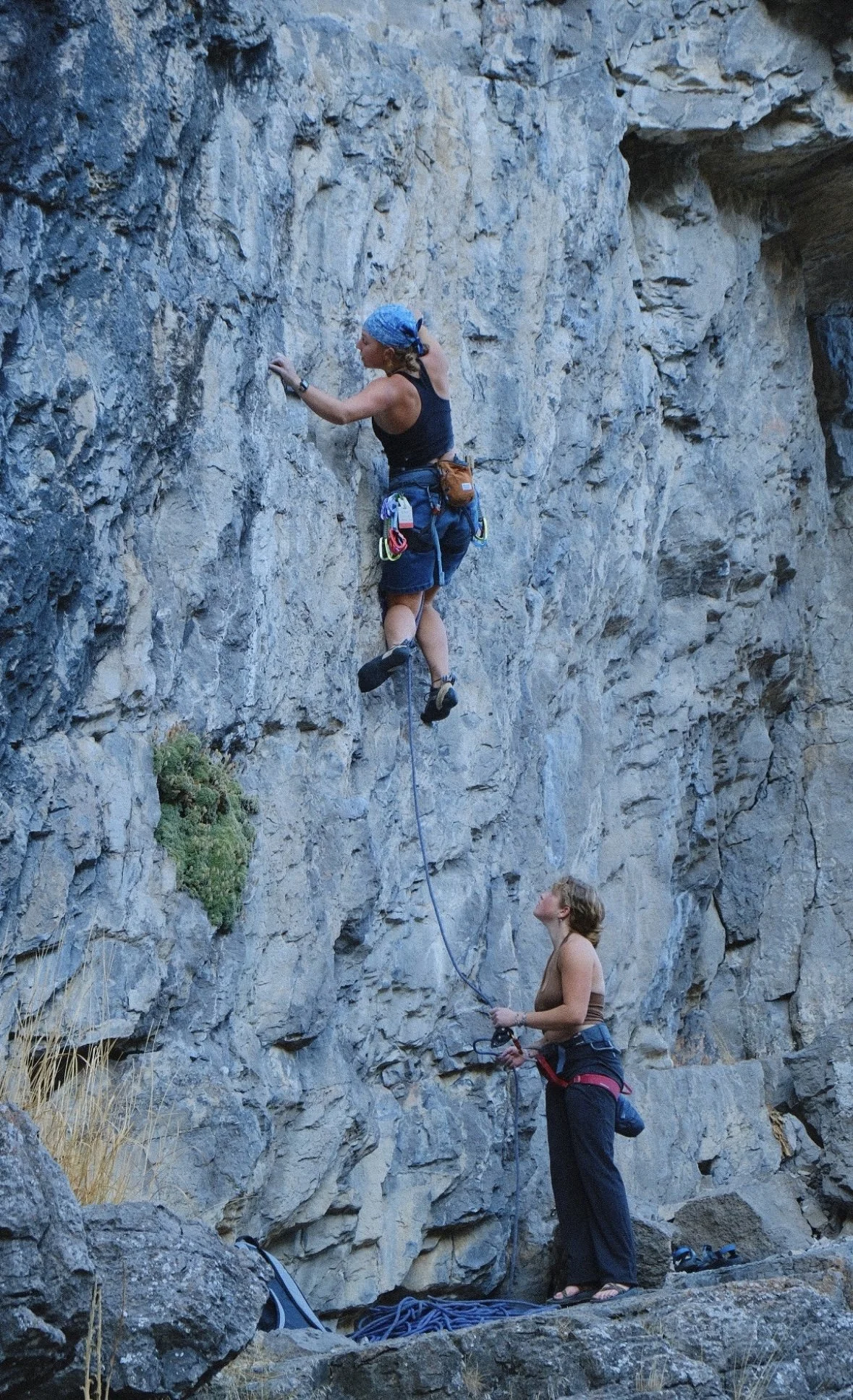 Climbing Higher: A Year of Big Leaps, New Chapters, and Even Bigger Community