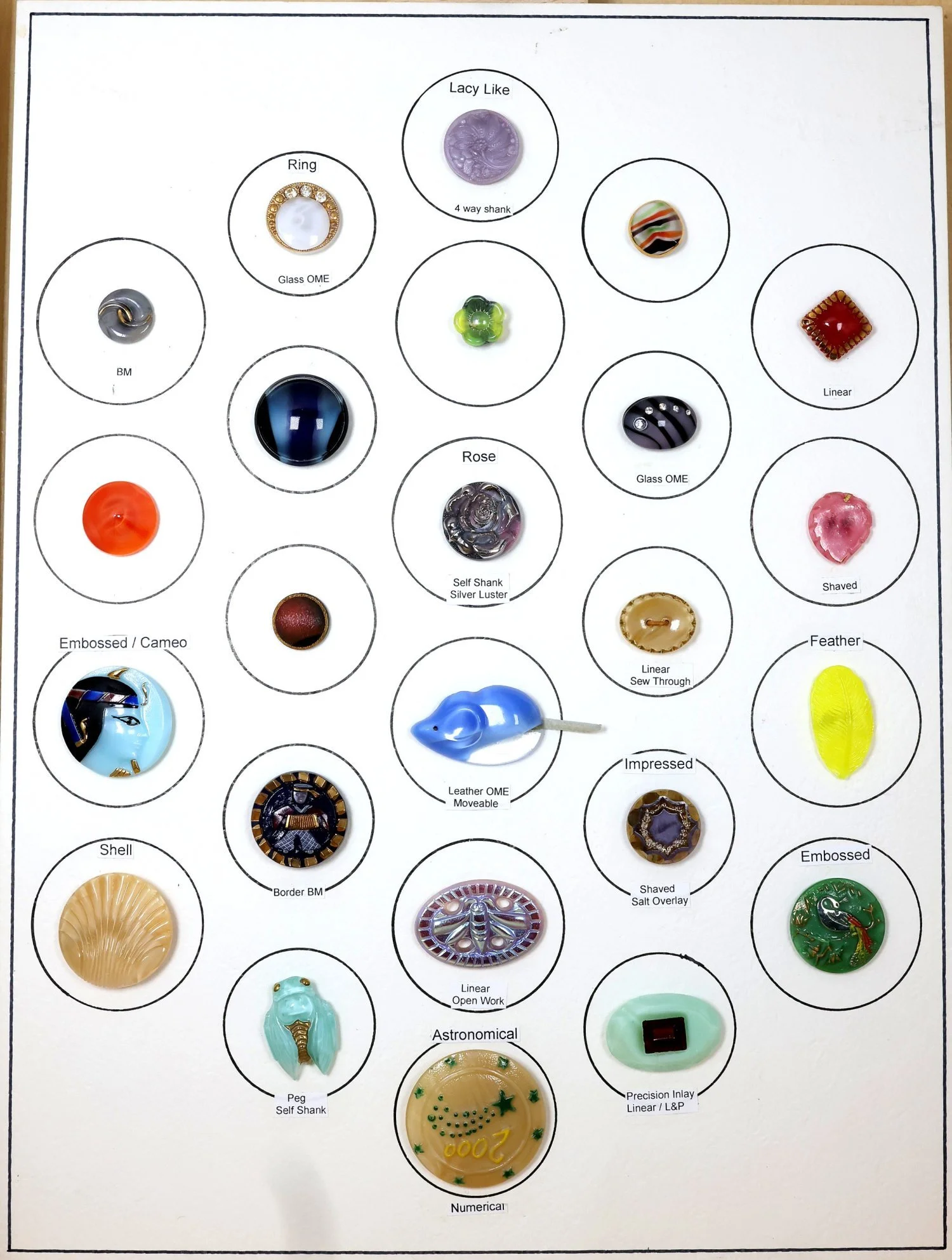 tray13-2.jpg