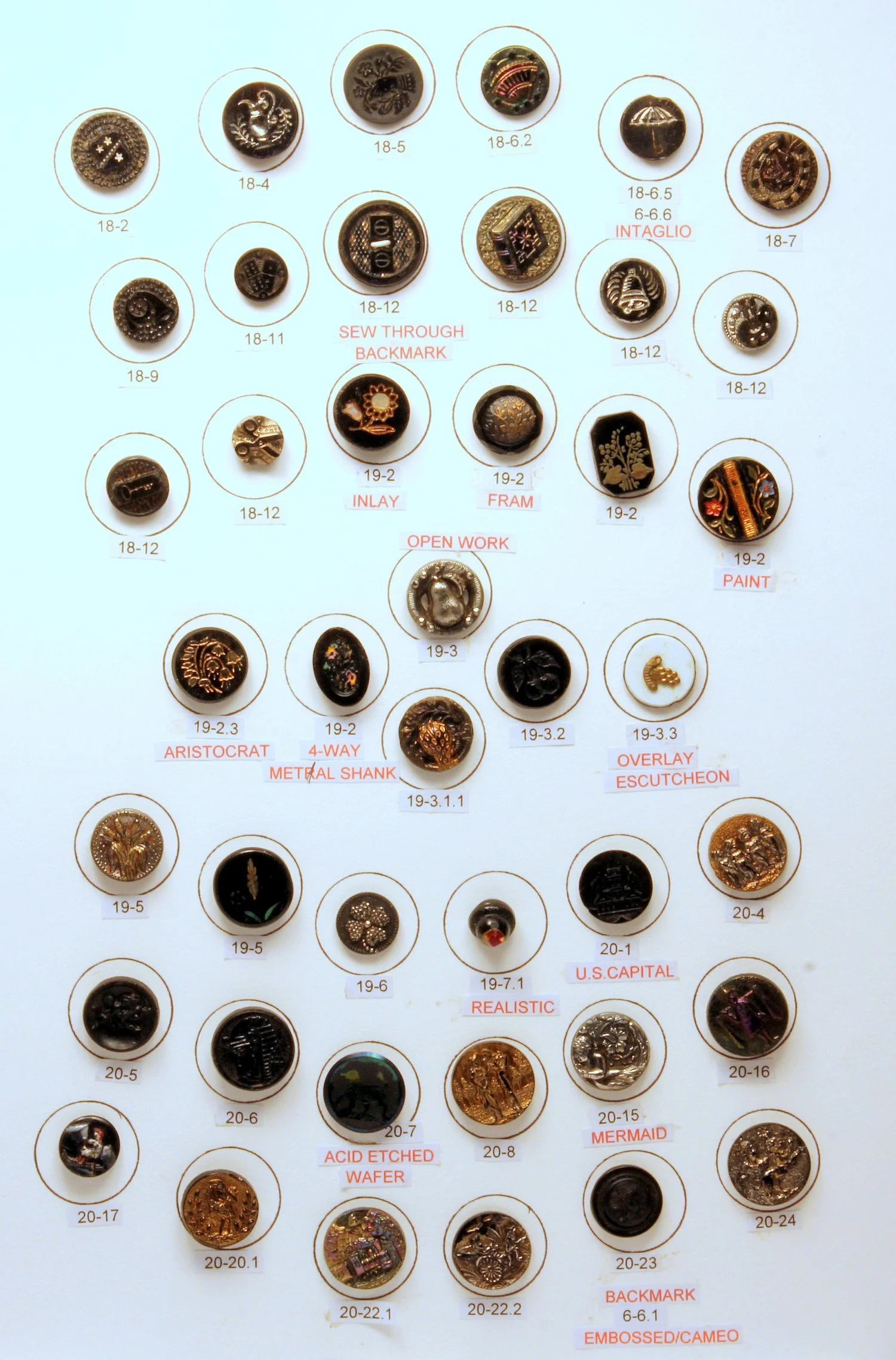 tray5-3.jpg