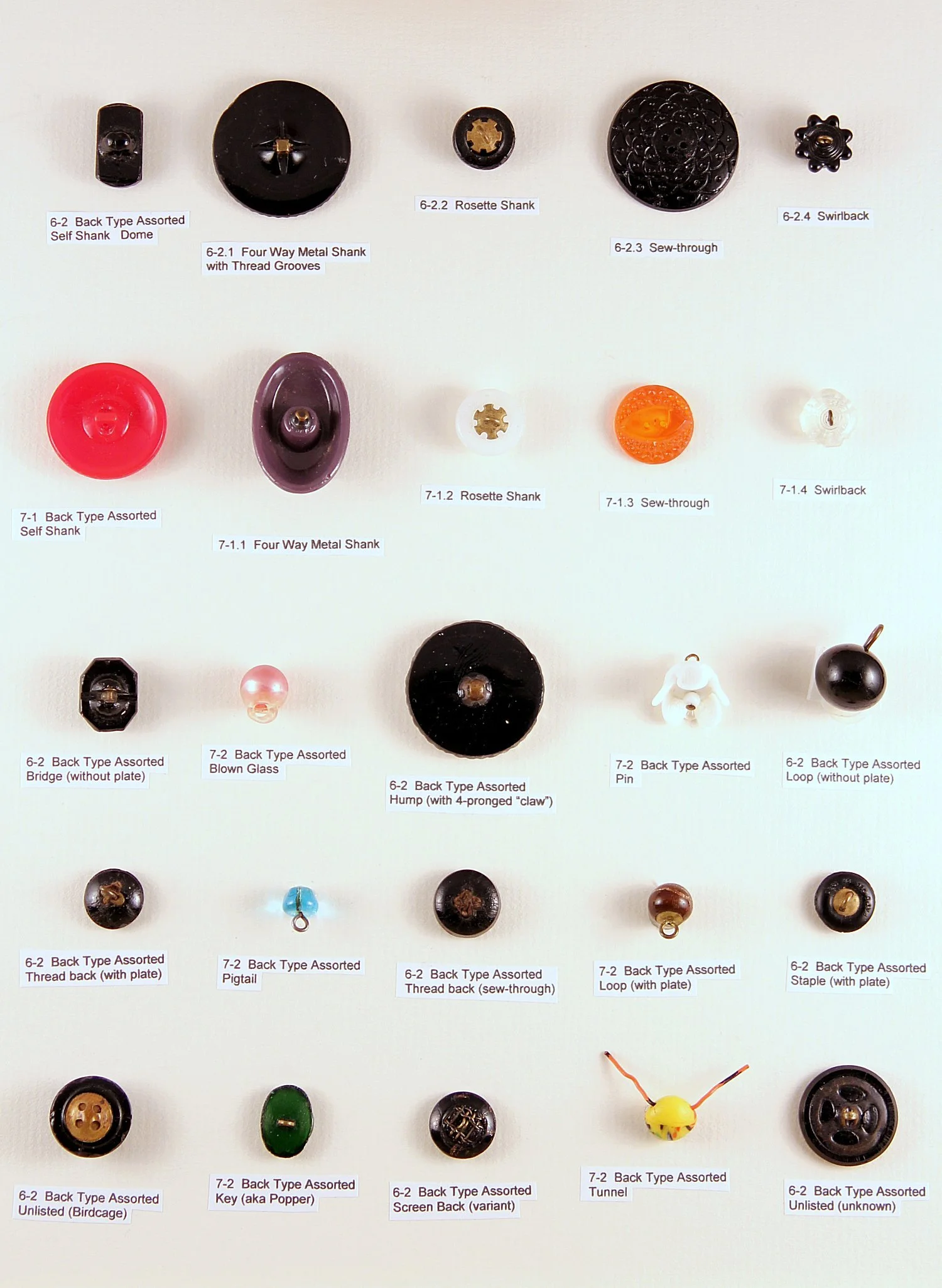 tray12-1.jpg