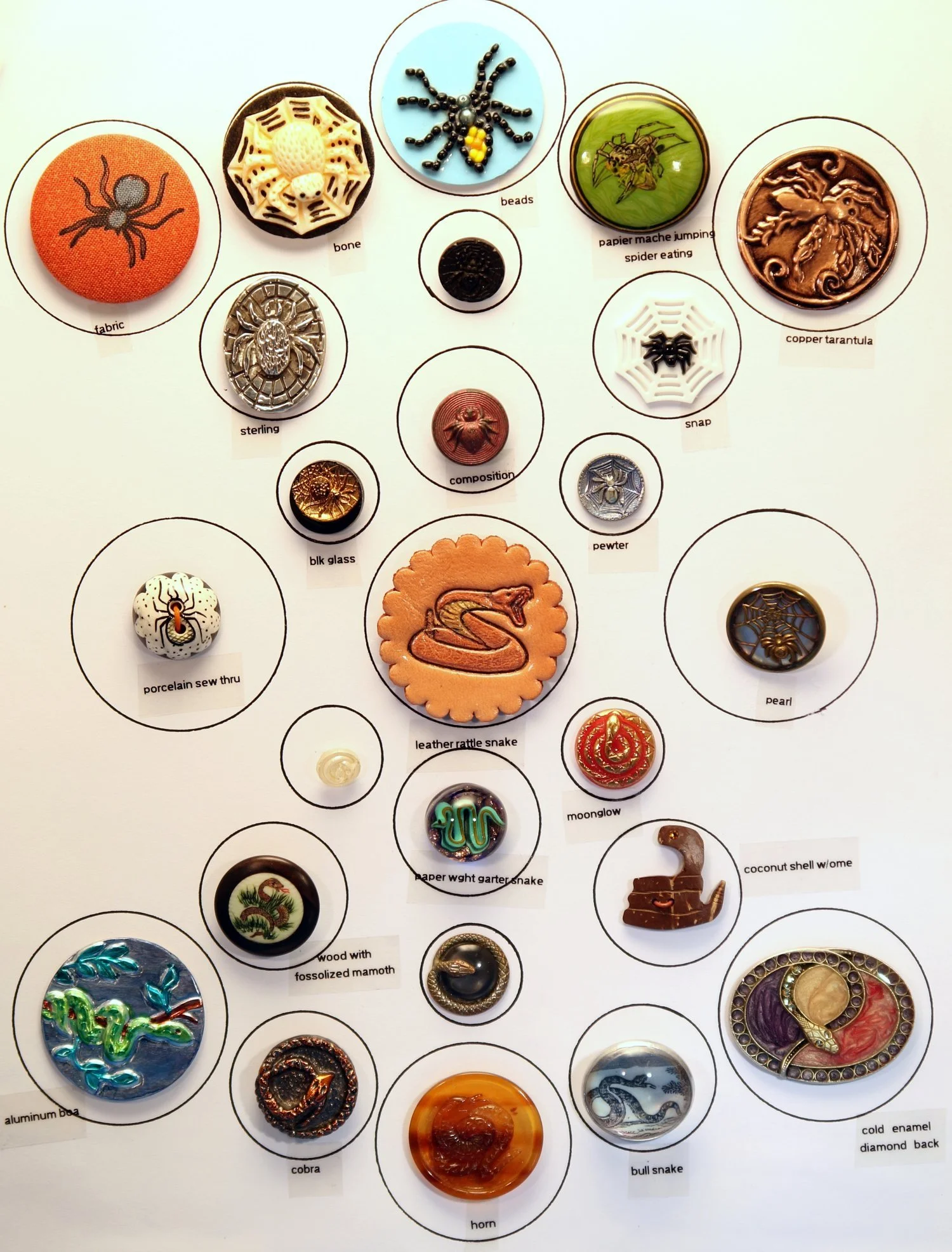 tray20-1.jpg