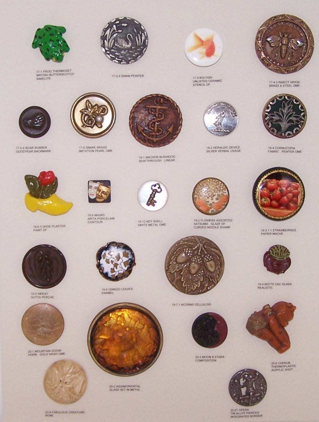 tray19-1.jpg