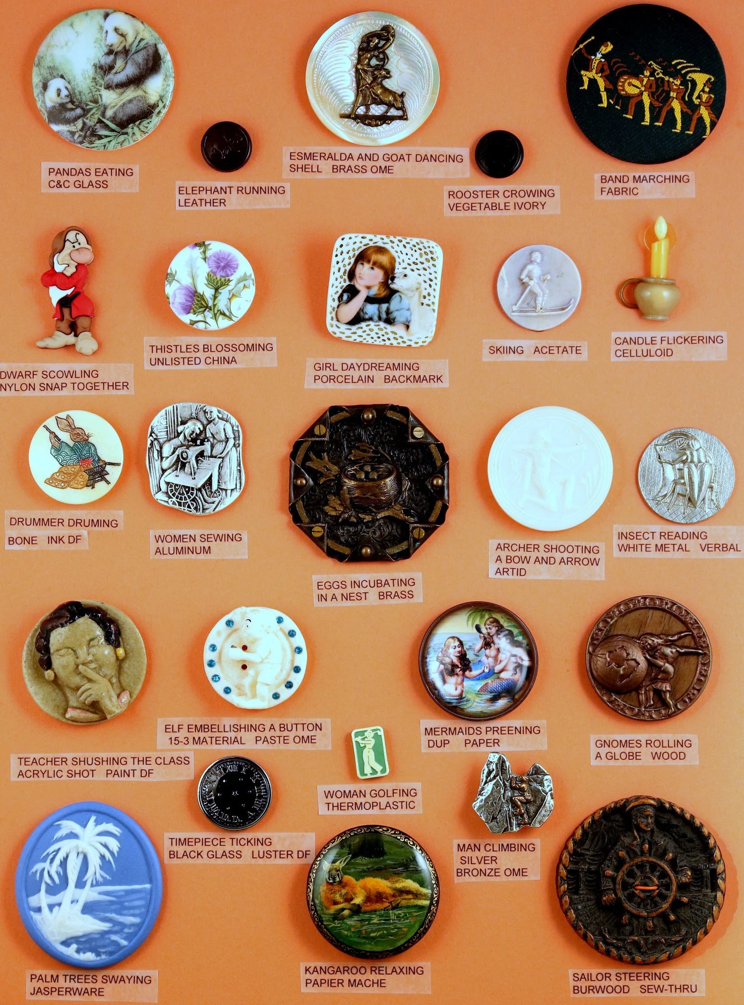 tray12-1.jpg