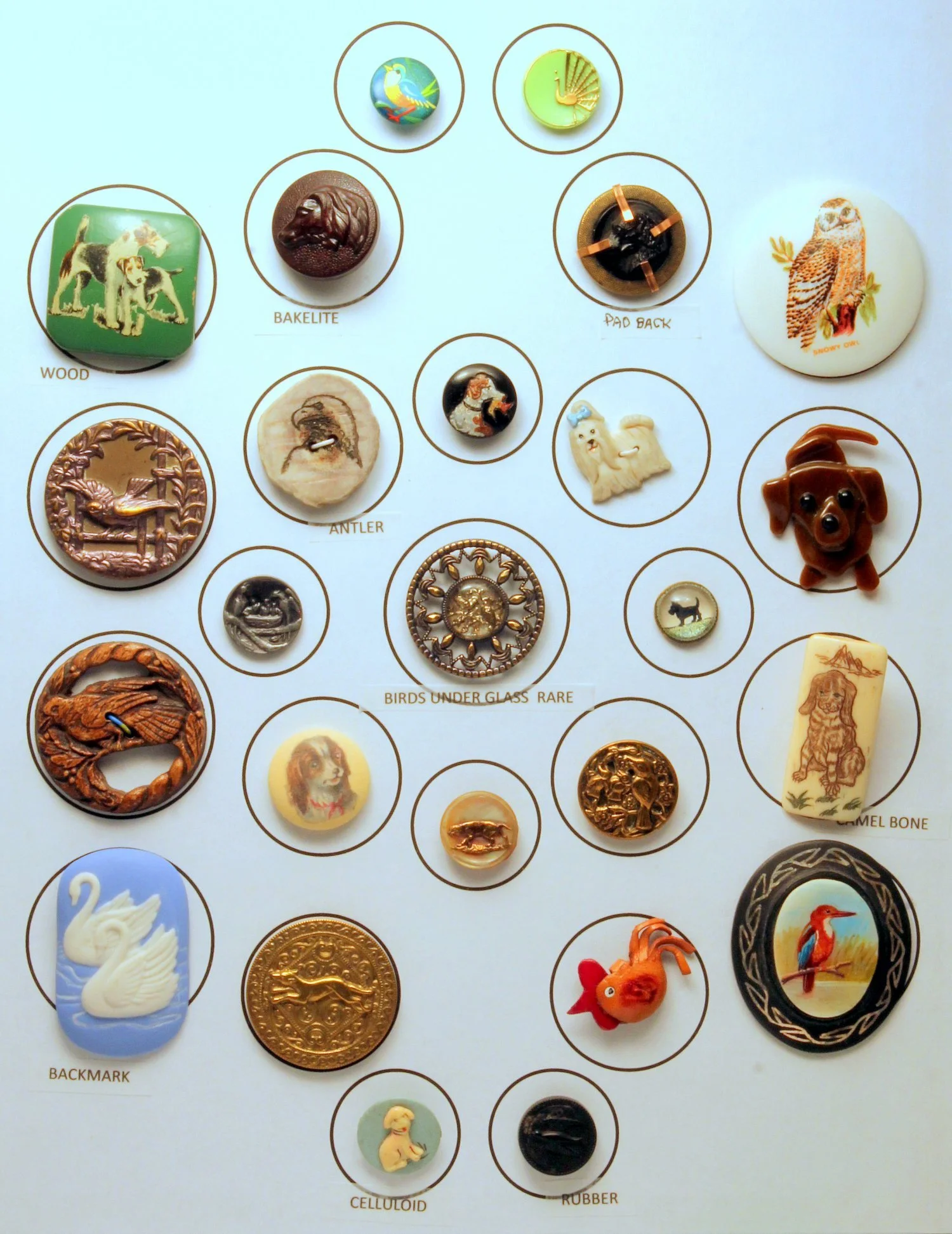 tray2-3.jpg