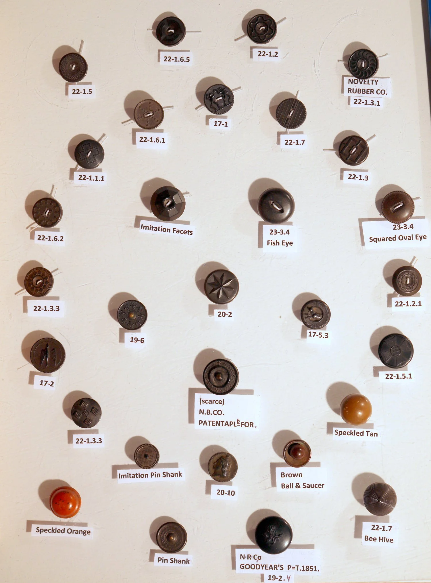 tray8-3.jpg