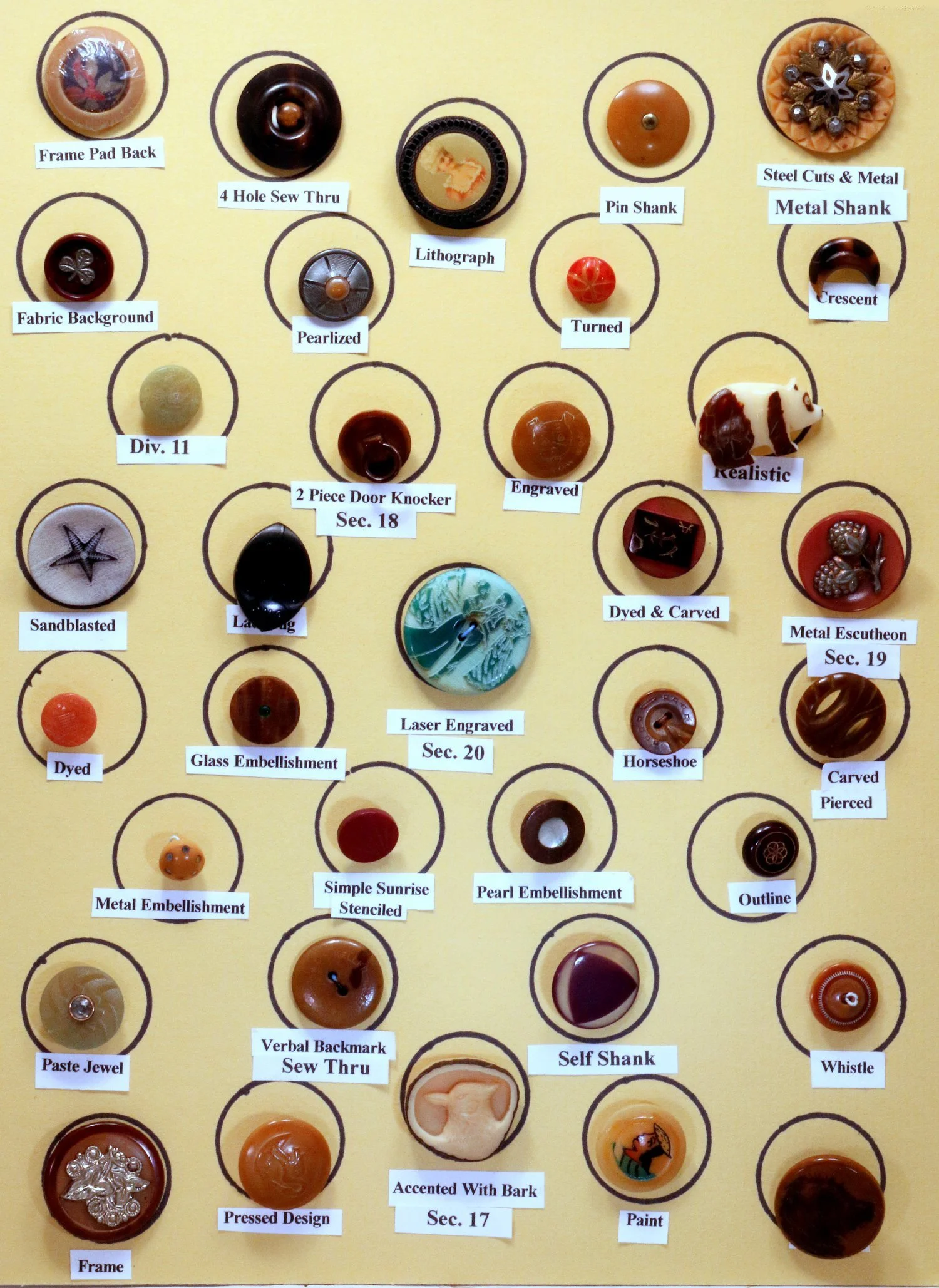 tray23-1.jpg