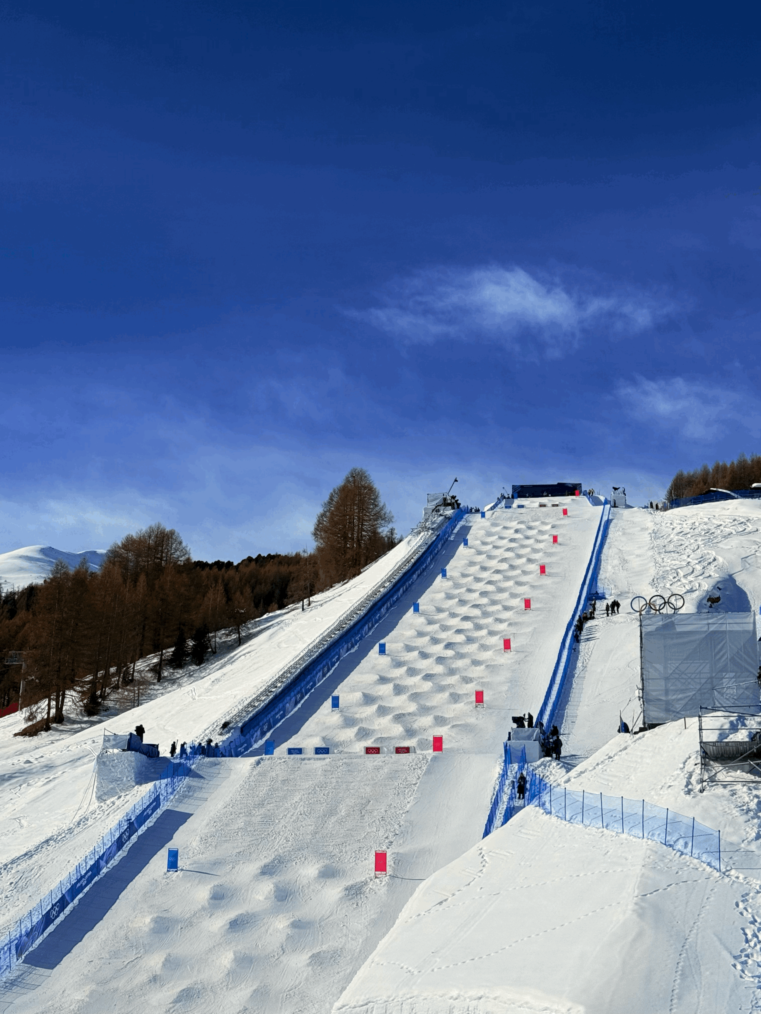 Looking Back at the 2026 Winter Olympics. Moments Greater Than Medals.