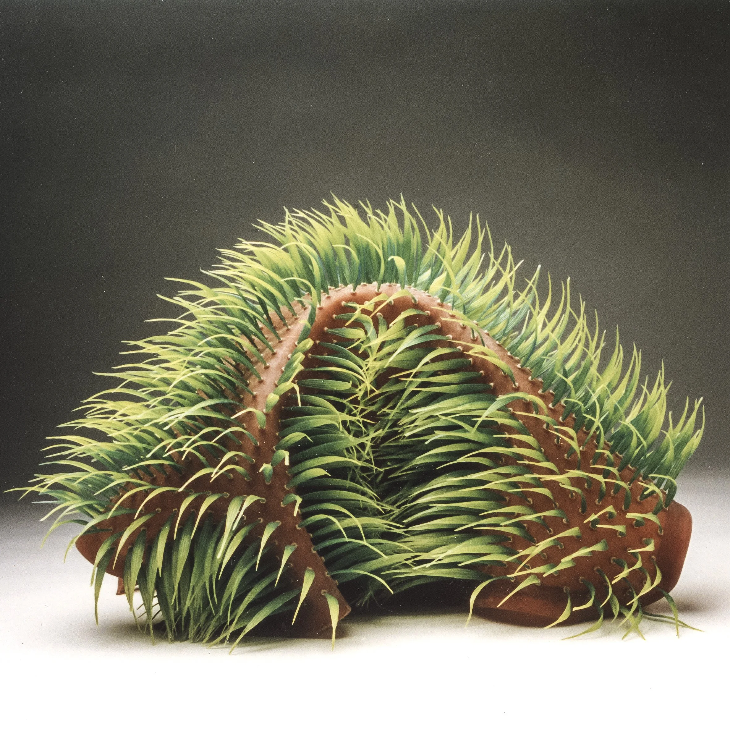 Werk-Plant_New_High_2.jpg