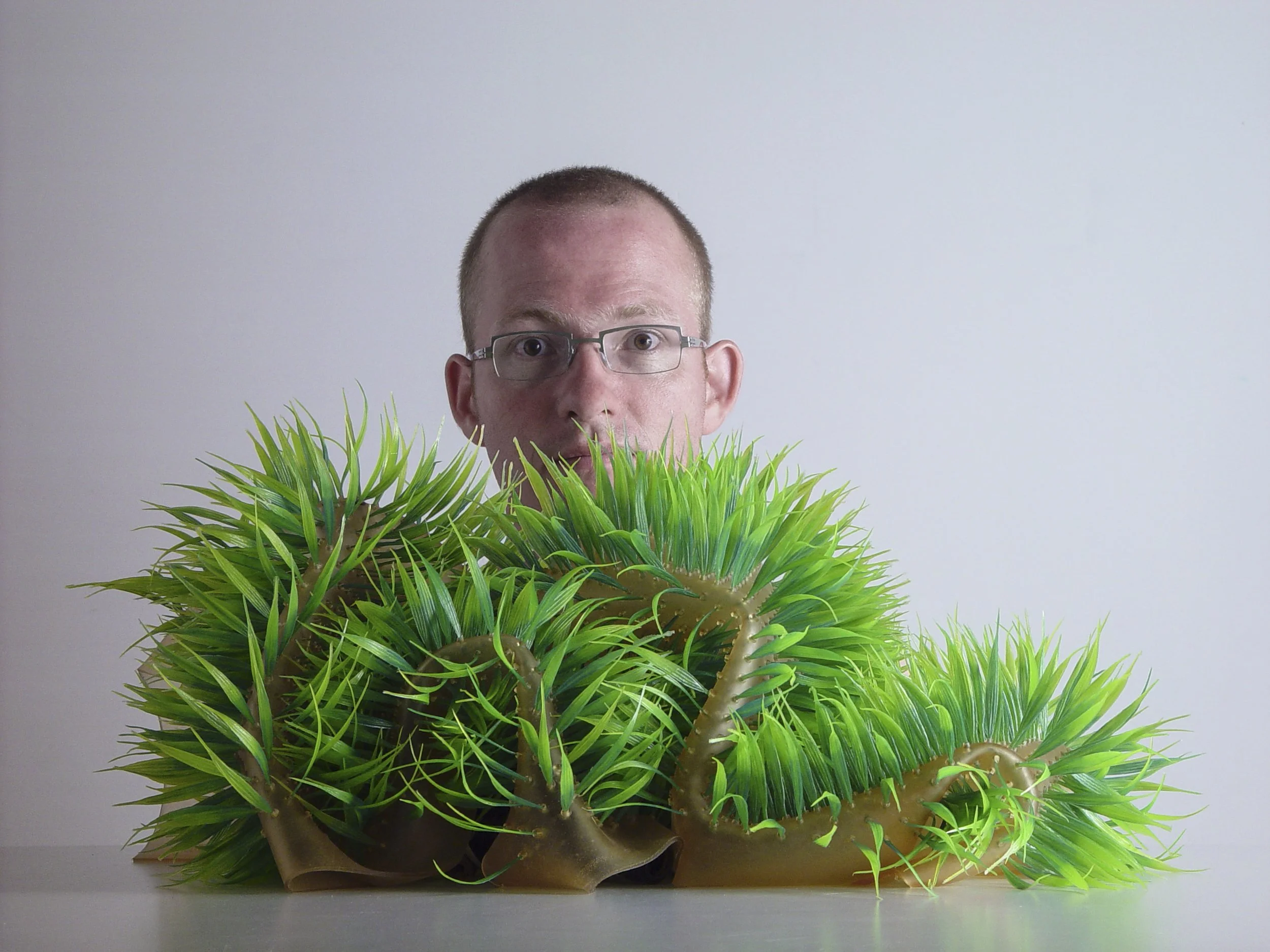 Werk-Plant_New_High_3.jpg